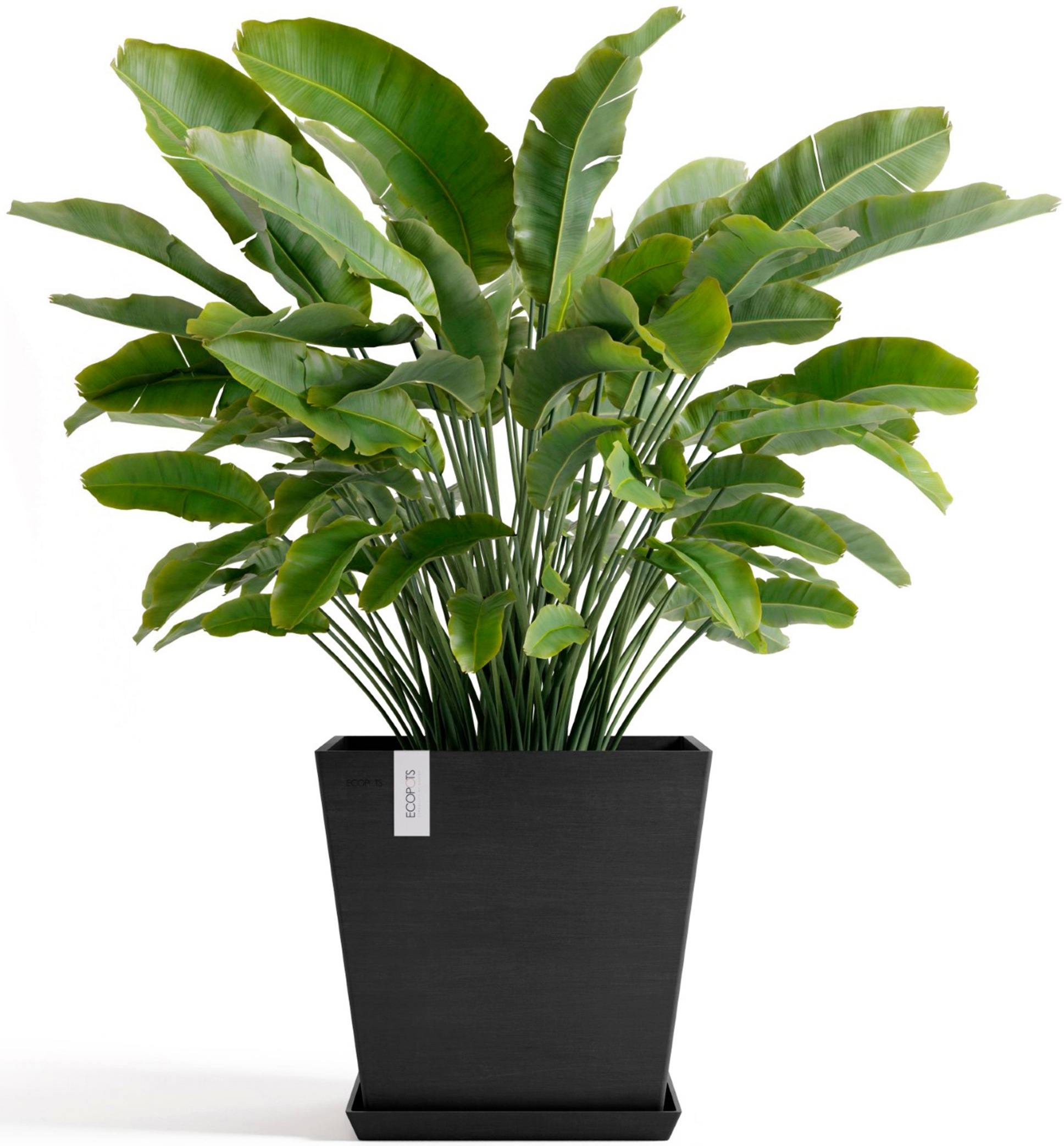 ECOPOTS Blumentopf »Rotterdam 45 + Wassersystem Dunkelgrau«, für innen und außen: frostsicher, bruchsicher und lichtbeständig