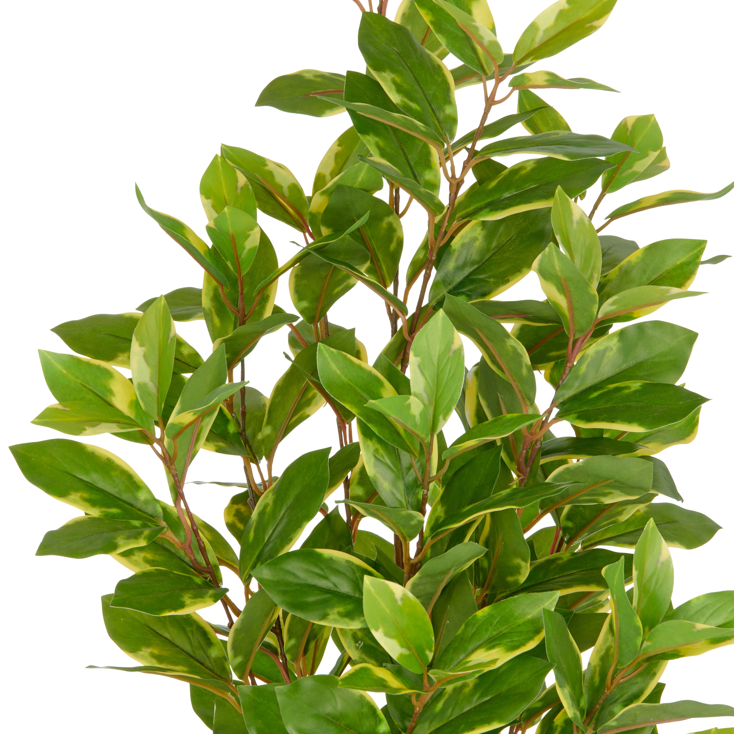 Creativ green Kunstpflanze »Epipremnum aureum«, mit schönem Blattwerk