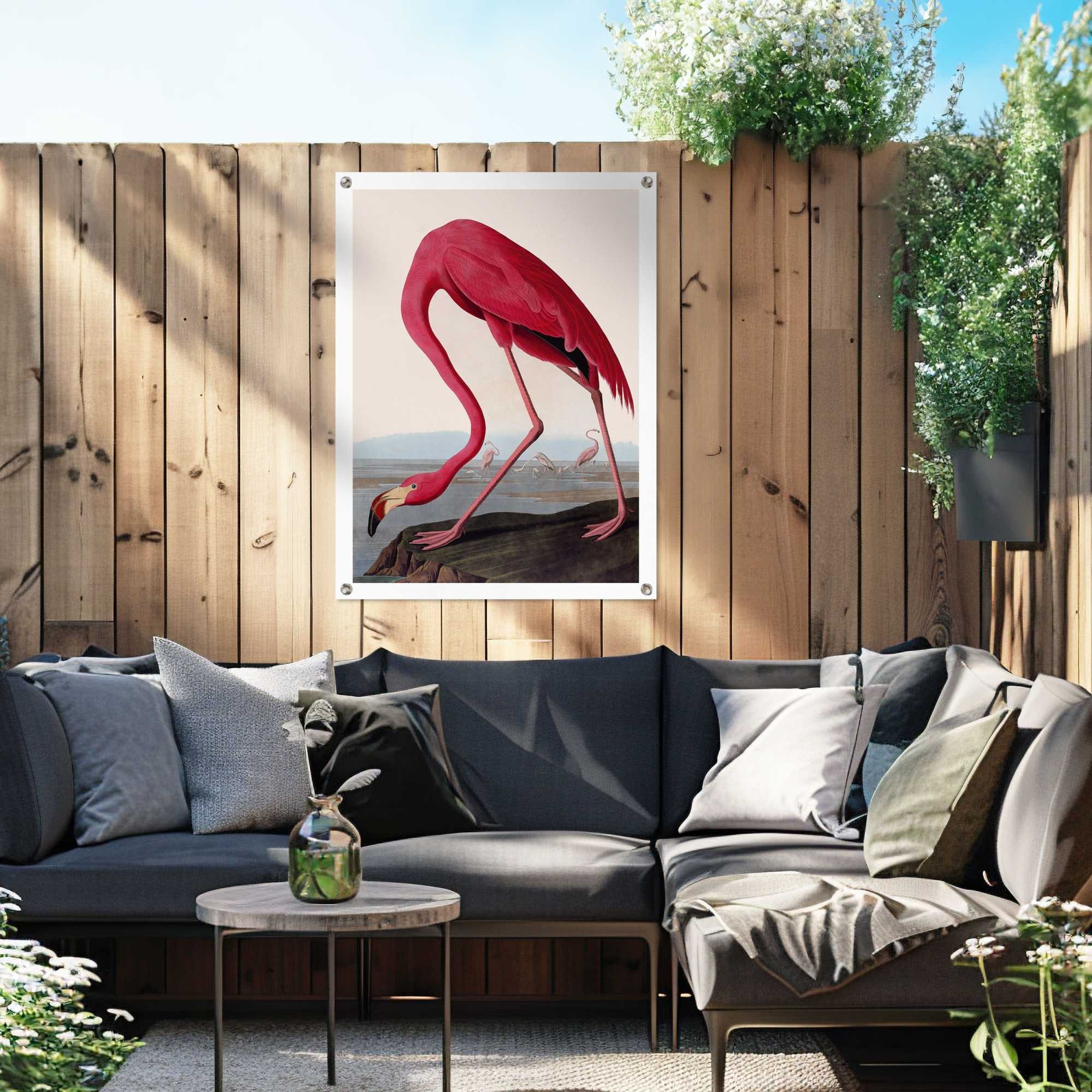 Reinders Poster "Audubon Flamingo", Garten - Rosa - Leinwand - Tiere - 60x8 günstig online kaufen