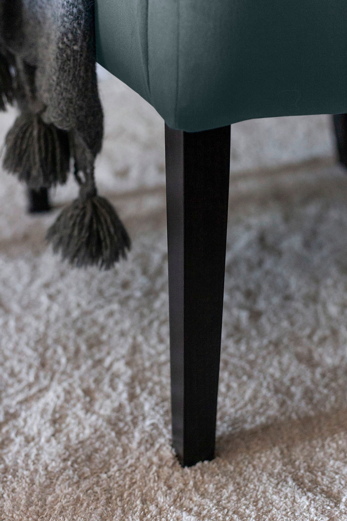 Fink Armlehnstuhl »DAVID«, Samtvelours VELVET, mit geschwungener Rückenlehne