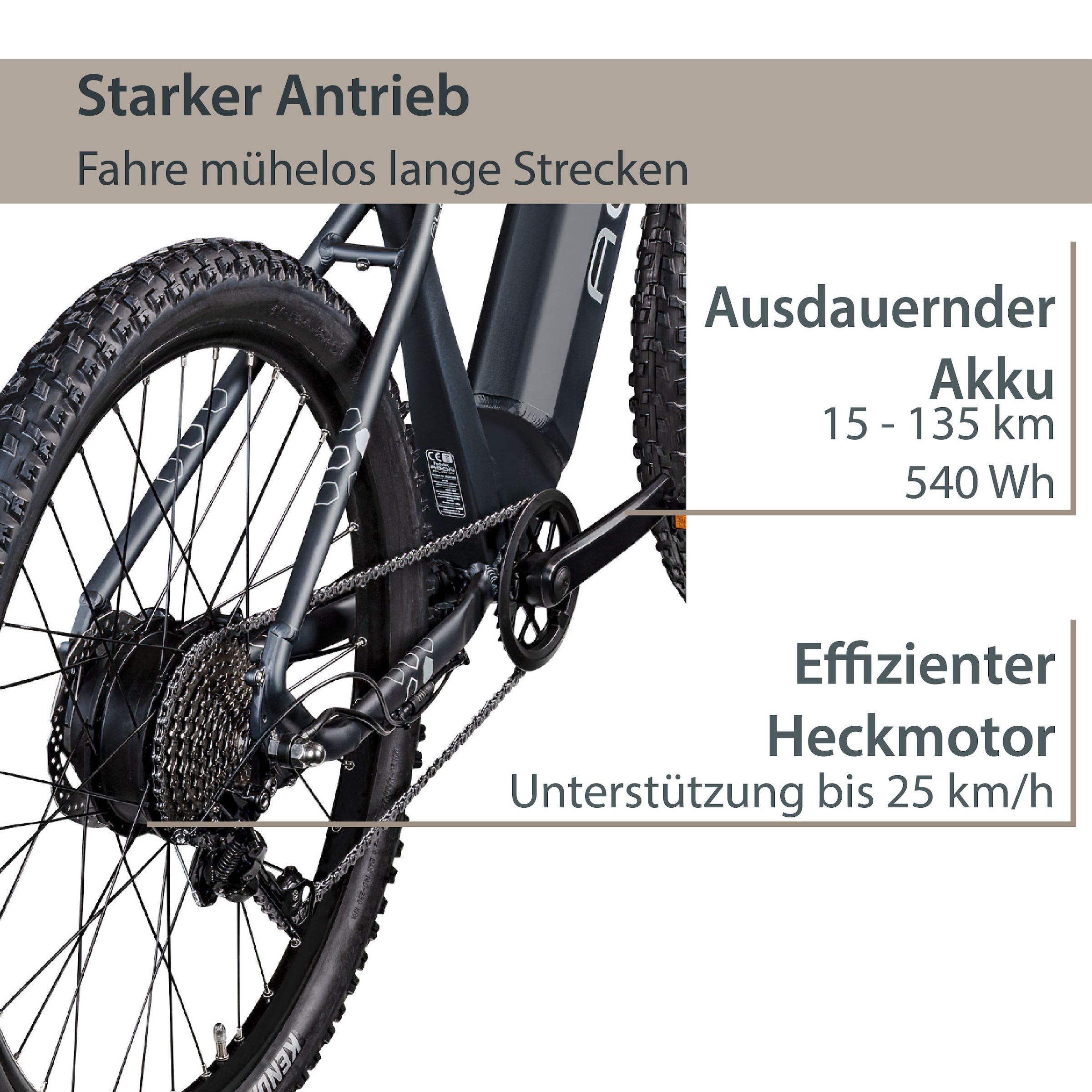 AGON E-Bike »Alpha«, 10 Gang, Deore SGS T6000, Heckmotor 250 W, Pedelec, Elektrofahrrad für Damen u. Herren, MTB