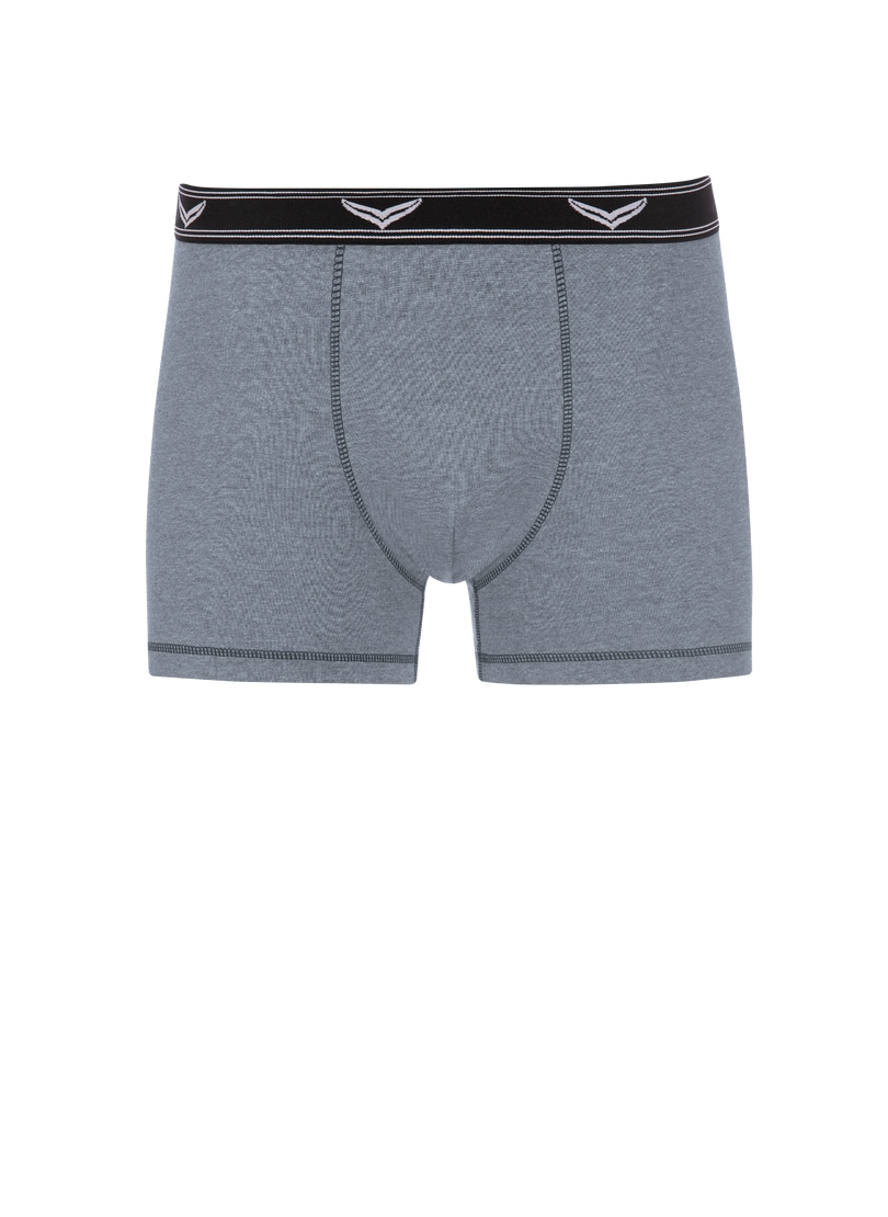 Trigema Boxer "TRIGEMA Bequeme Pants mit Webgummibund", (1 St.)