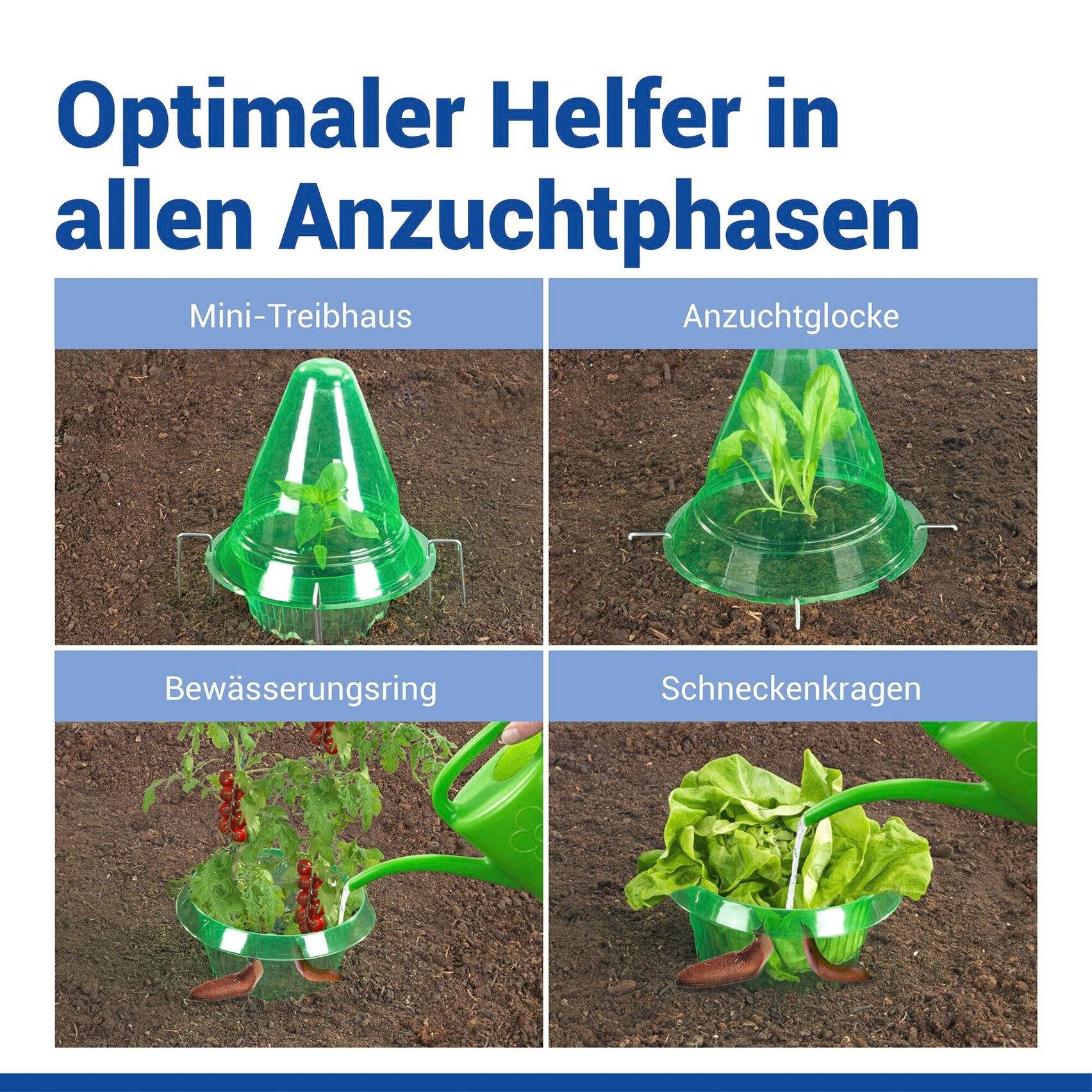 Maximex Pflanzenschutzdach »3 Stück Pflanzendom 3in1« Anzuchtglocke, Schneckenabwehr & Bewässerungsring, für Beet & Hochbeet
