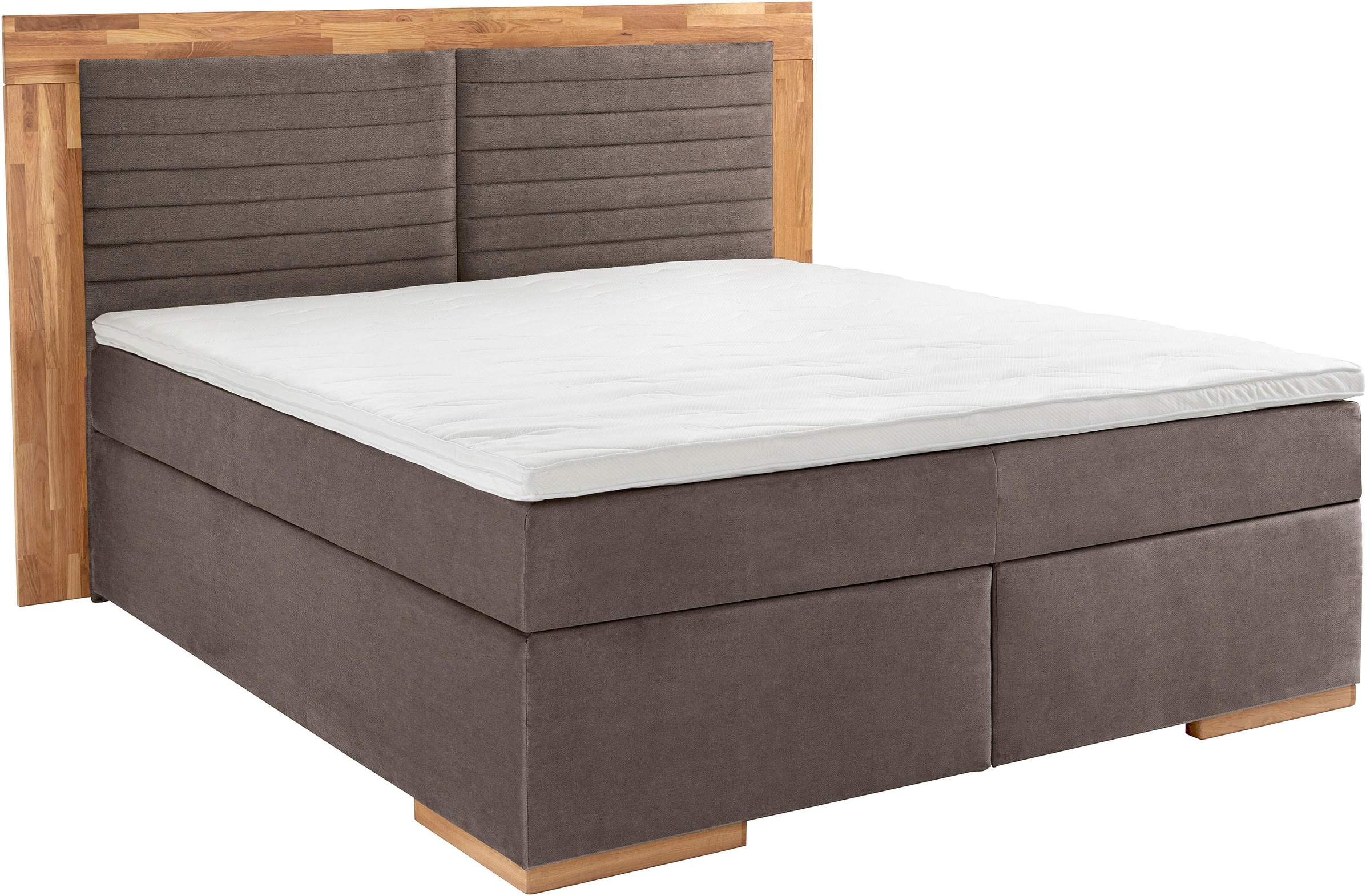 Home affaire Boxspringbett "Cup" mit LED-Beleuchtung, Massivholzrahmen und günstig online kaufen