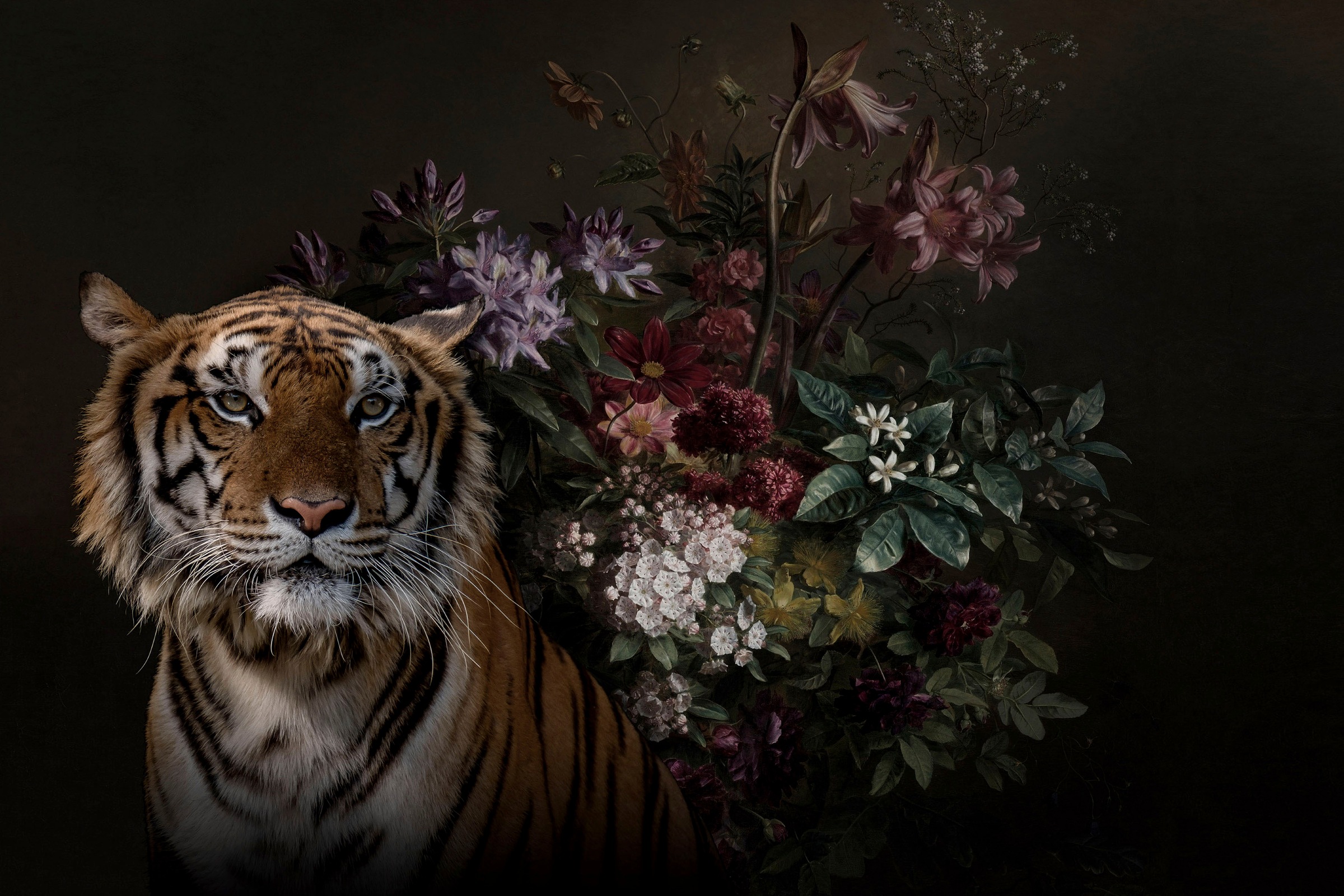 A.S. Création Leinwandbild »wildlife«, Kunst-Tiere-Kinder, (1 St.), Keilrahmen Bild Blumen Floral Rosen Leinwand-Bild Wohnzimmer modern