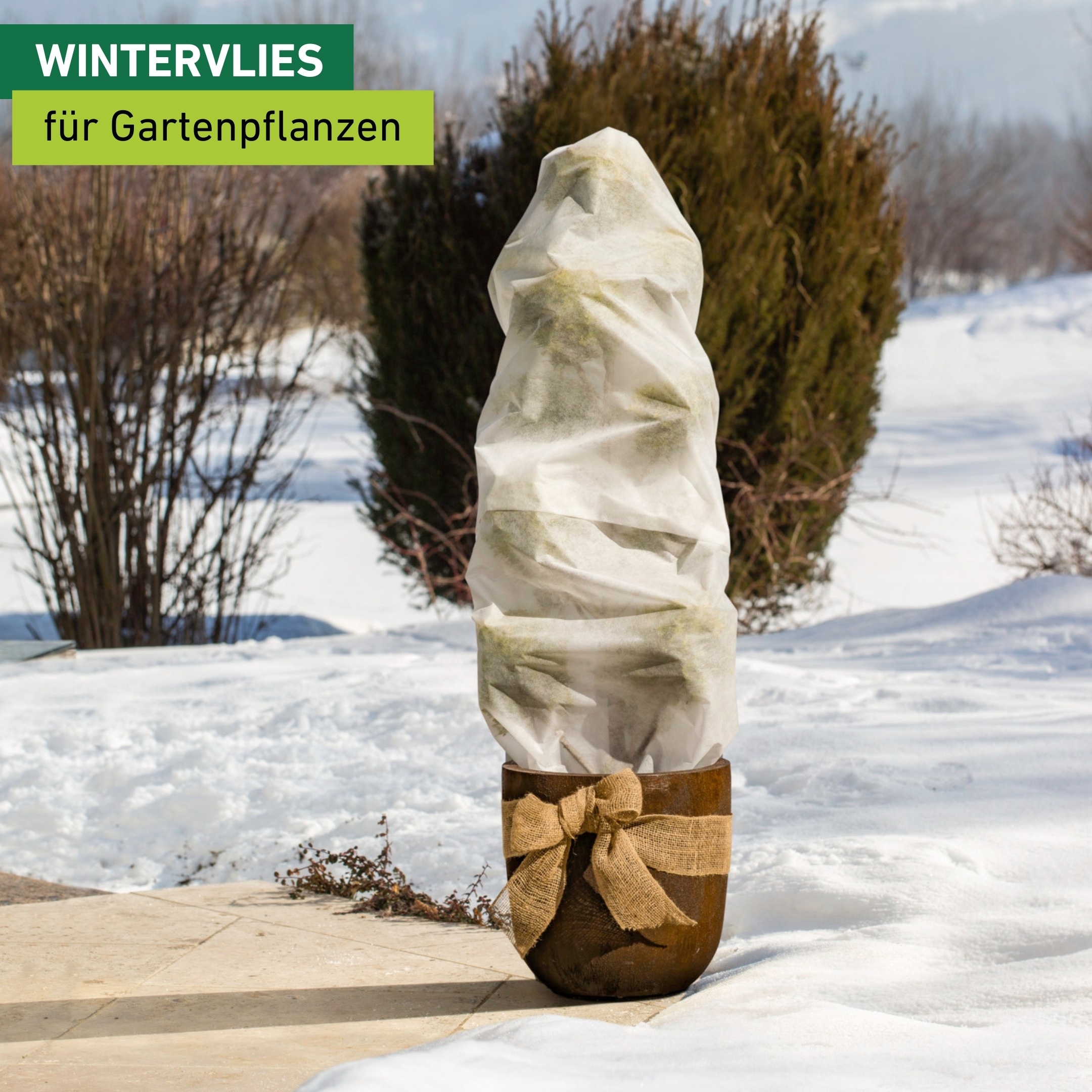 Windhager Winterschutzvlies "Winter-Vlieshaube, Winter- und Kälteschutz für Pflanzen" UV stabilisiert und witterungsbeständig, 1,1x1,1 m, Stärke 50 g/m2