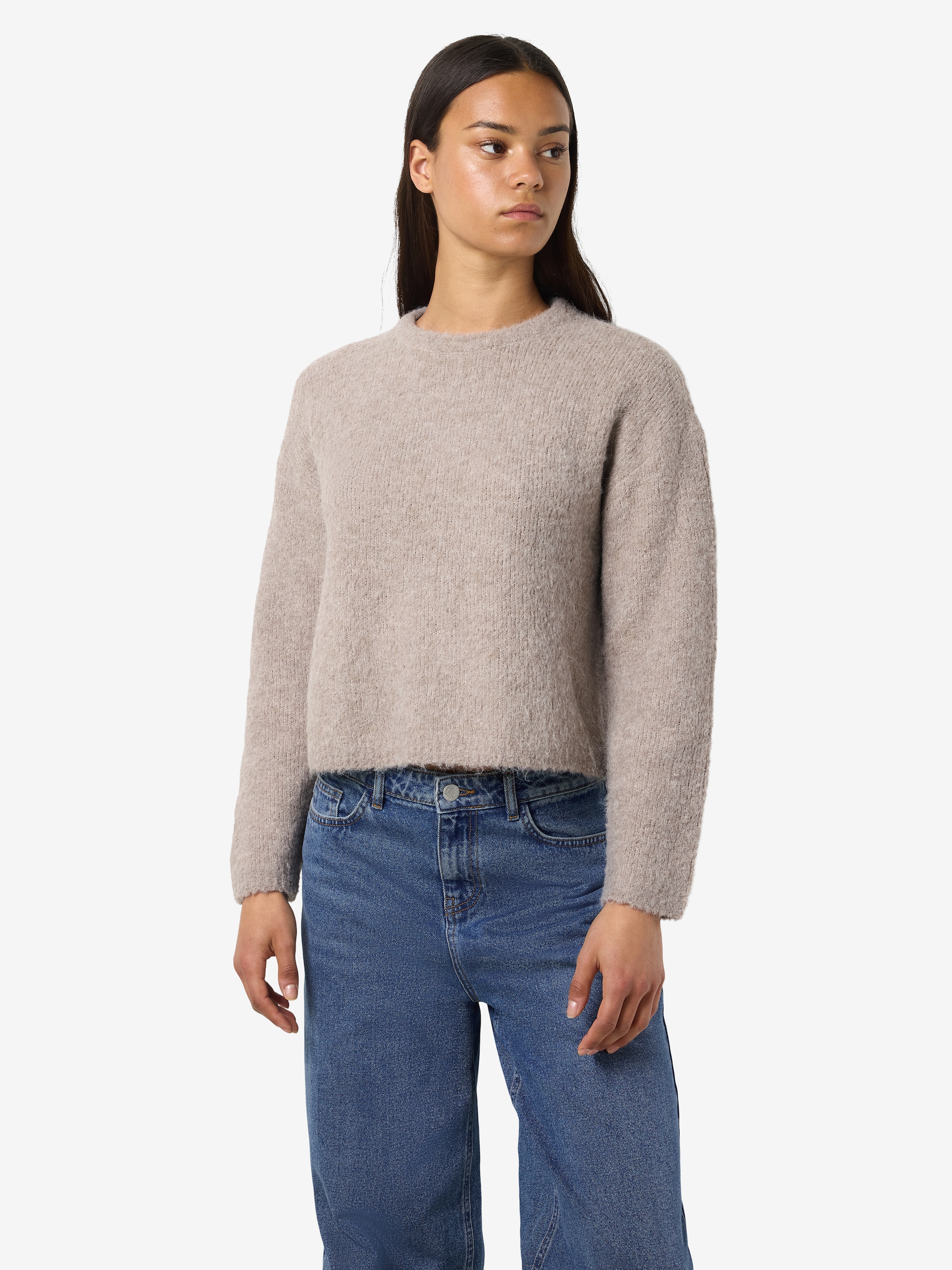 Noisy may Rundhalspullover »NMDOLLY L/S O-NECK KNIT FWD NOOS«