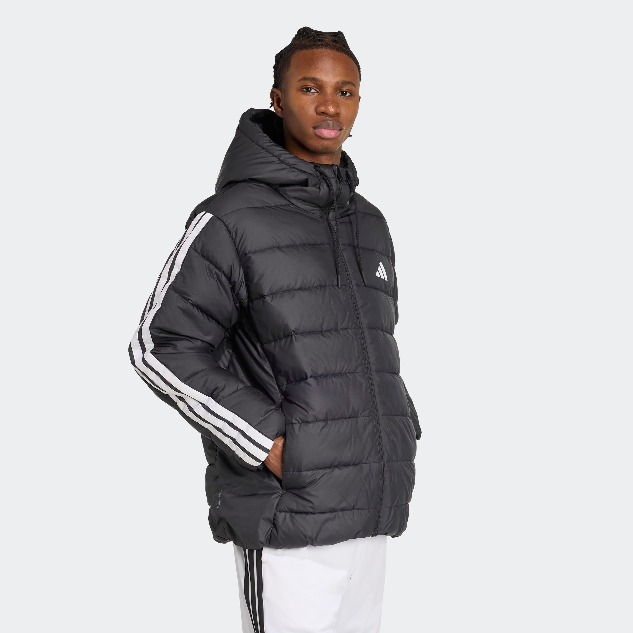 adidas Sportswear Steppjacke "ESS 3S SD HD JK" günstig online kaufen