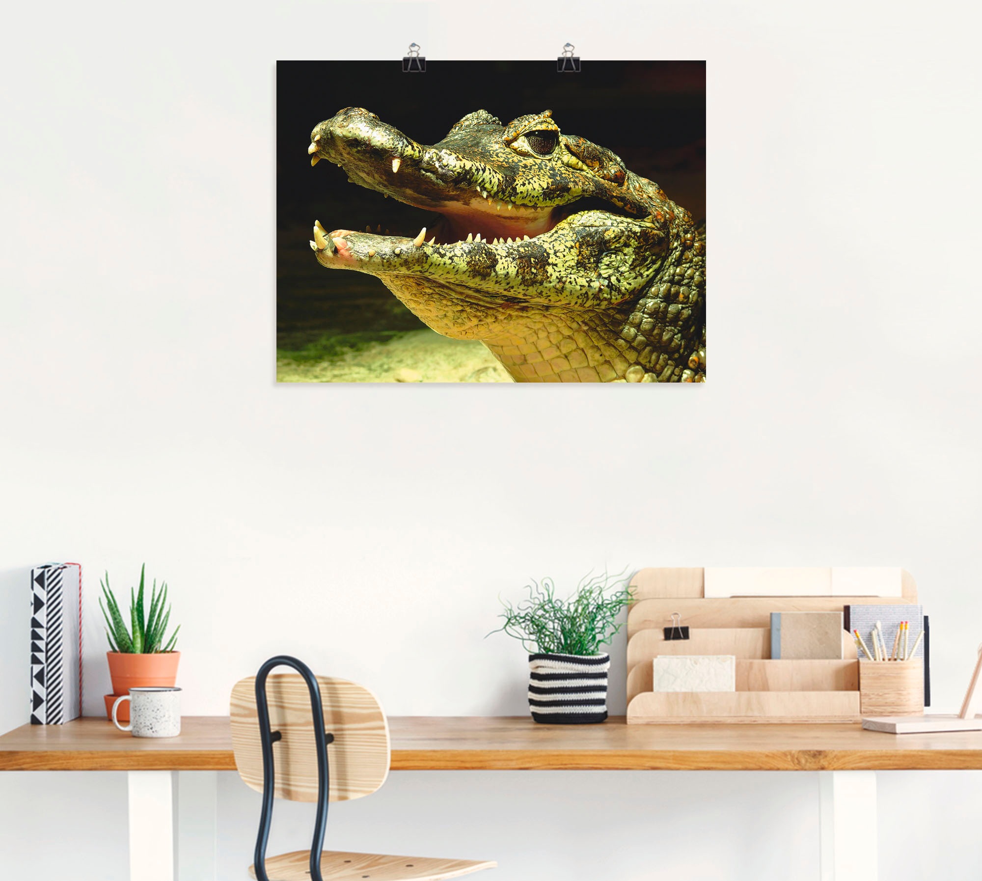 Artland Wandbild "Ein lächelndes Krokodil", Wassertiere, (1 St.), als Poste günstig online kaufen