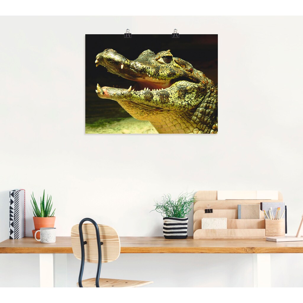 Artland Wandbild »Ein lächelndes Krokodil«, Wassertiere, (1 St.)