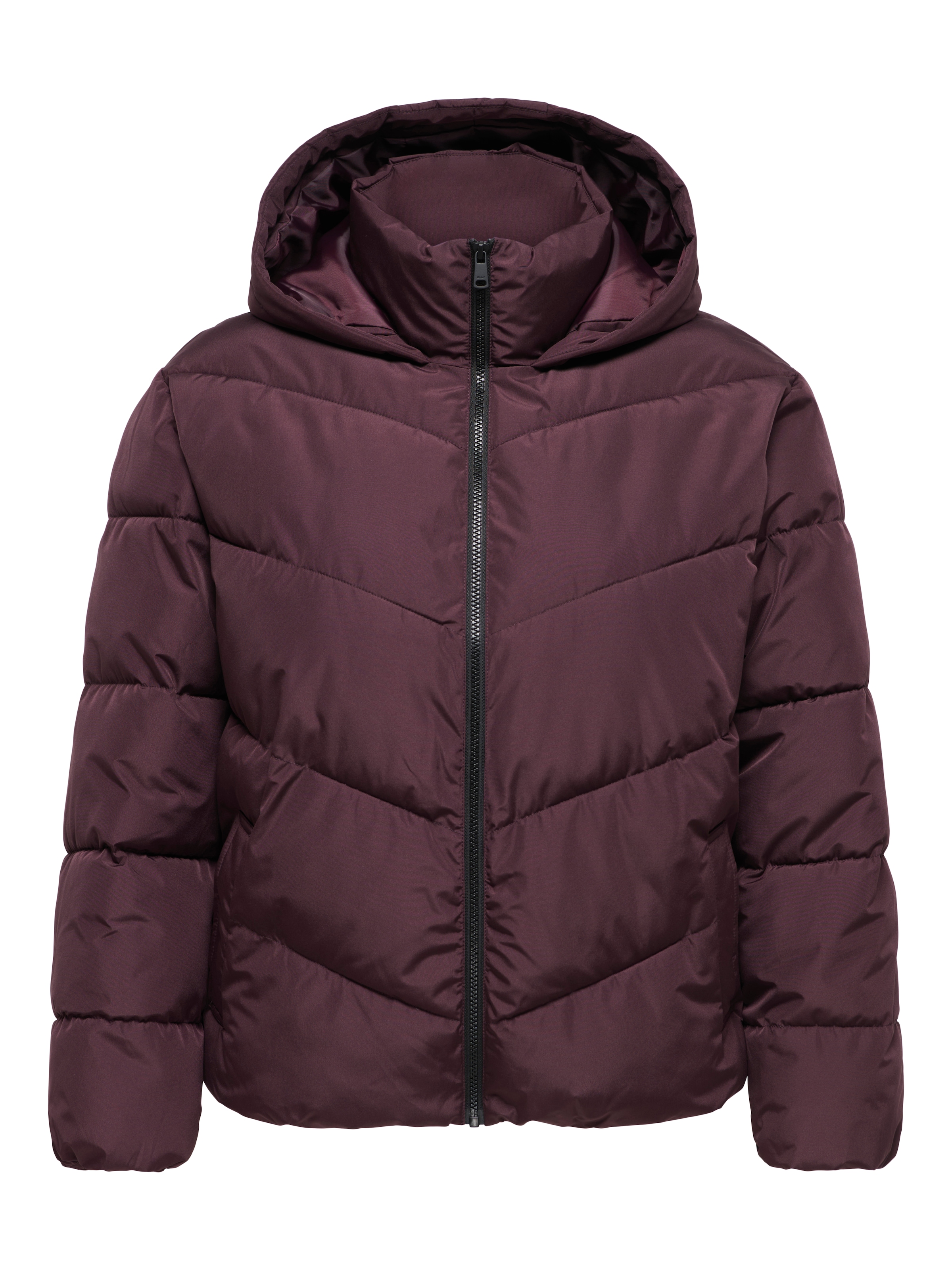 ONLY CARMAKOMA Steppjacke »CARCLAIR SHORT PUFFER OTW« ohne Kapuze Kunstfaser, normal geschnitten