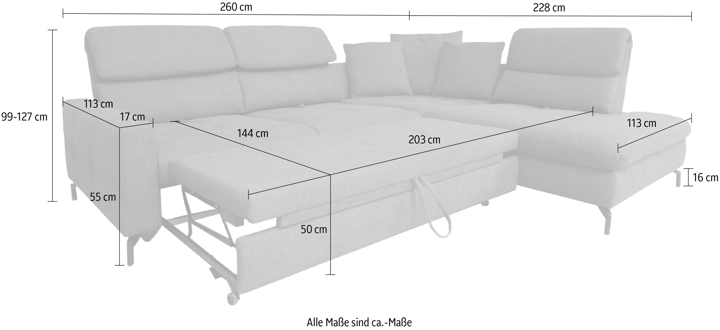 alina Ecksofa »Louis«, Breite 260 cm, Rückenlehnenverstellung, wahlweise mit Bettfunktion