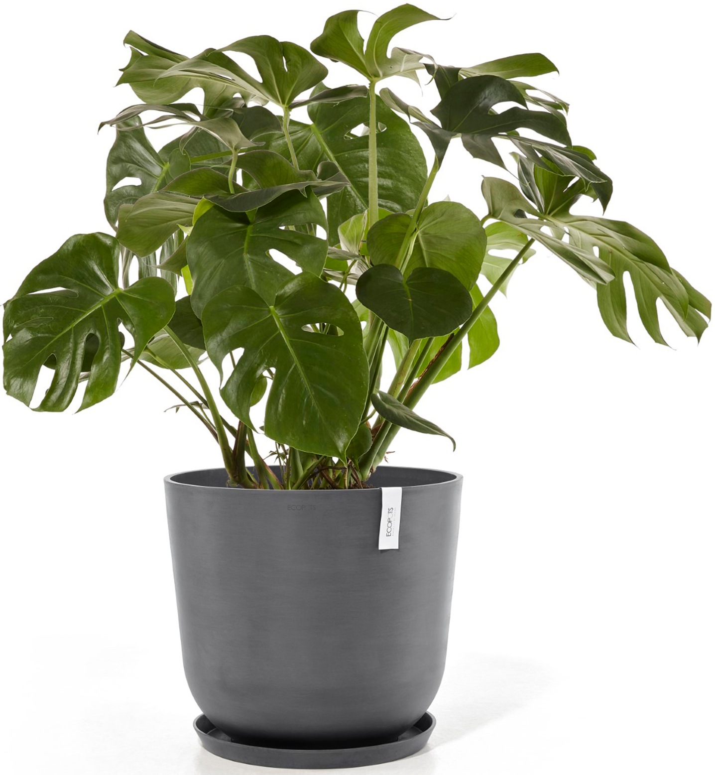 ECOPOTS Blumentopf »Oslo 55 + Wassersystem Grau«, für innen und außen: frostsicher, bruchsicher und lichtbeständig