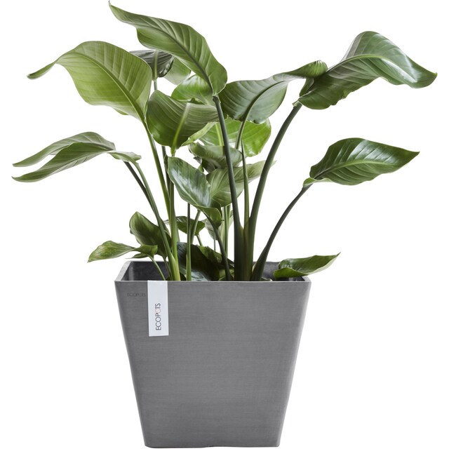 Black Friday ECOPOTS Blumentopf »ROTTERDAM Grey«, BxTxH: 30x30x26 cm | BAUR