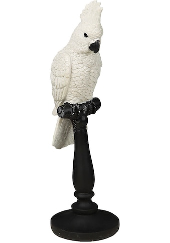 Ambiente Haus Tierfigur »Papagei Figur«, (1 St.) kaufen
