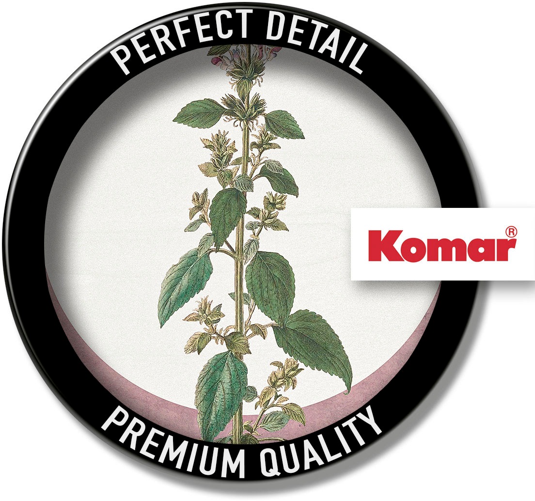 Komar Bild »Menthe en Croissance«, Natur, (1 St.), Wandbild zur Dekoration - ohne Rahmen