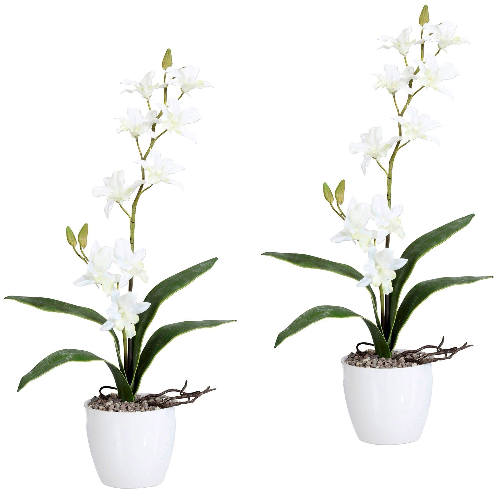 Creativ green Kunstpflanze »Orchidee Dendrobie«, im Keramiktopf