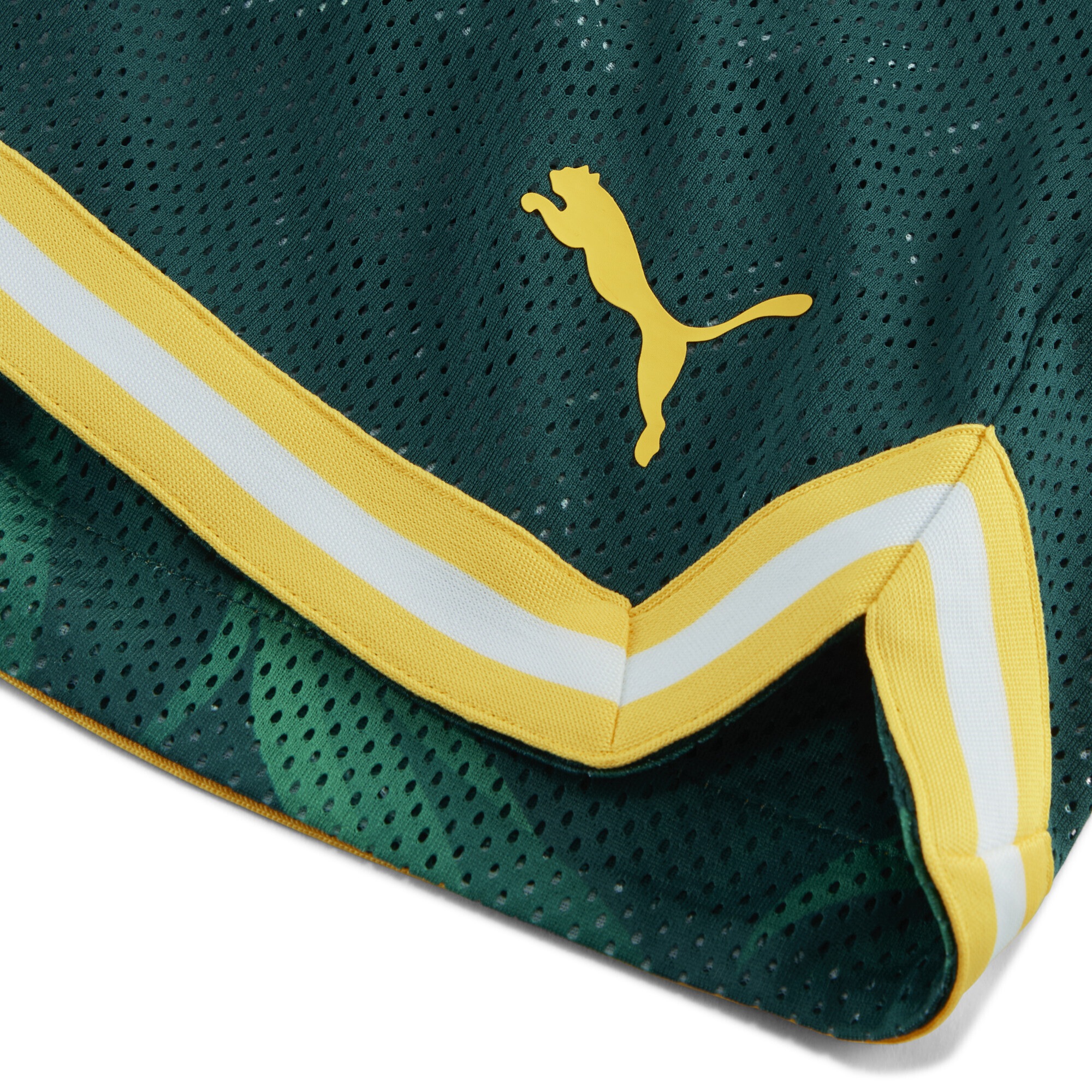 PUMA Shorts »PUMA HOOPS x SE PALMEIRAS Basketballshorts Herren«