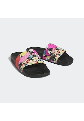 adidas Originals Maudymosi sandalai »PRIDE ADILETTE«