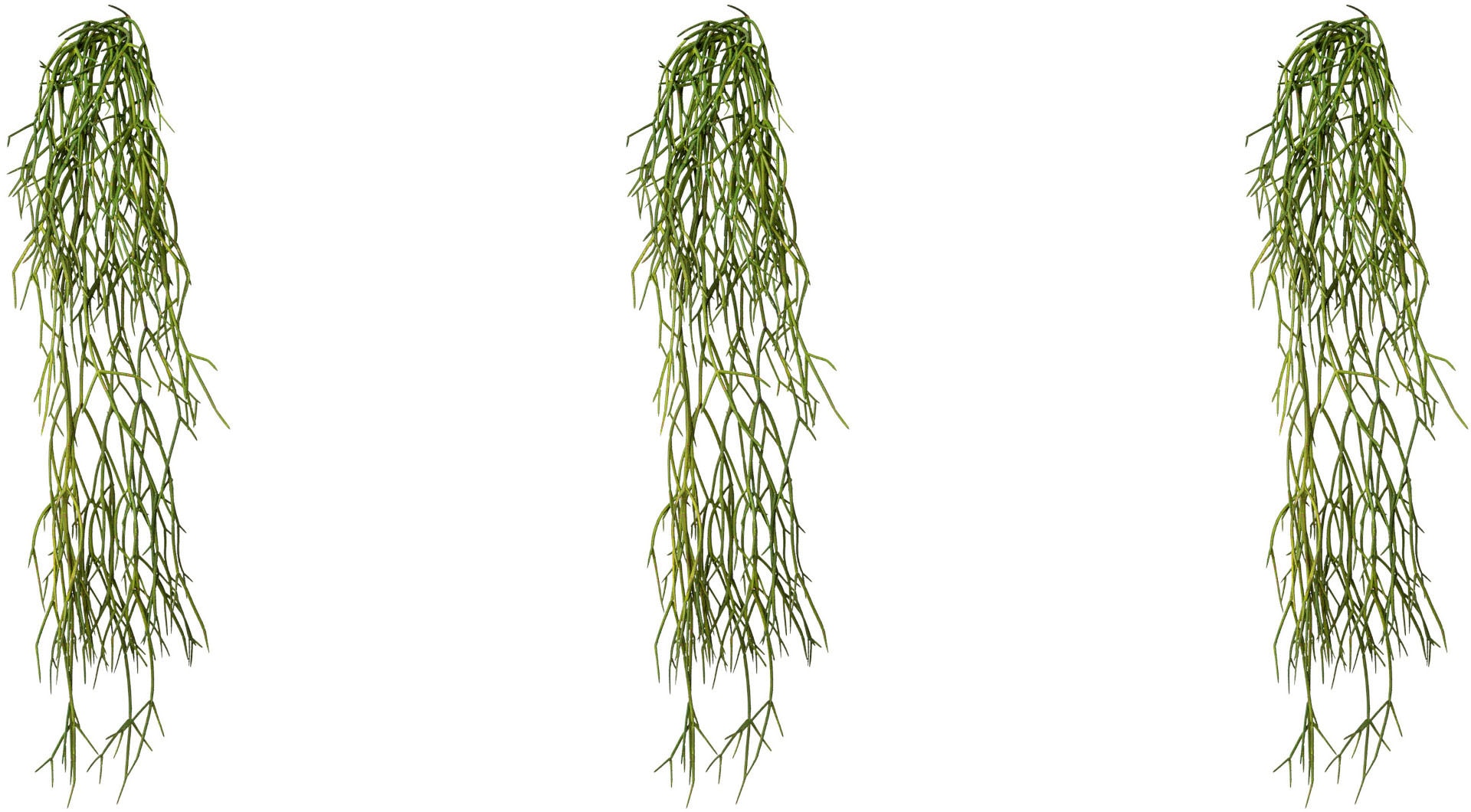 Creativ green Kunstranke "Rhipsalis-Hänger" günstig online kaufen