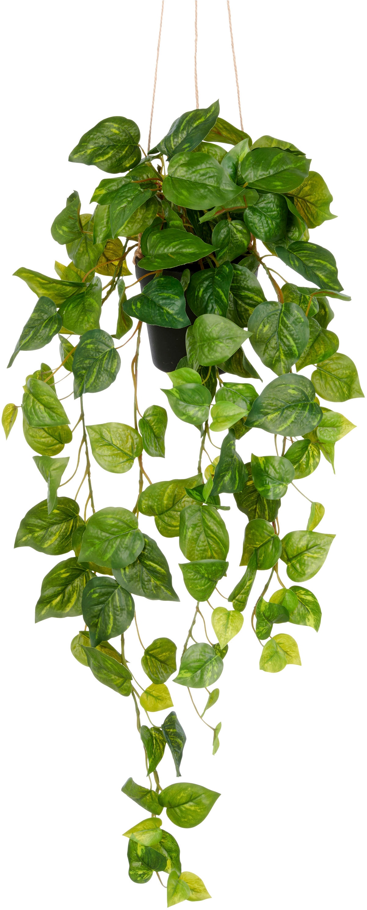 Creativ green Kunstpflanze "Hängender Philodendron hederaceum", mit üppigen günstig online kaufen