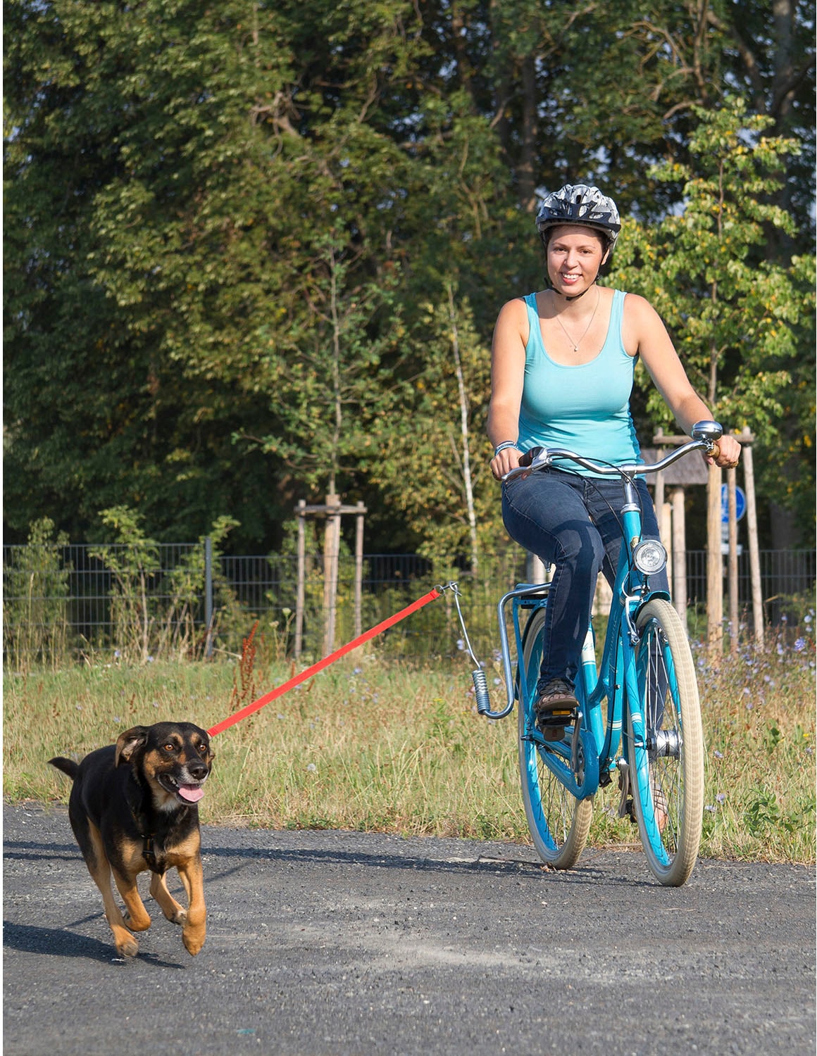 M-Wave Fahrradleine »DOG WALK«