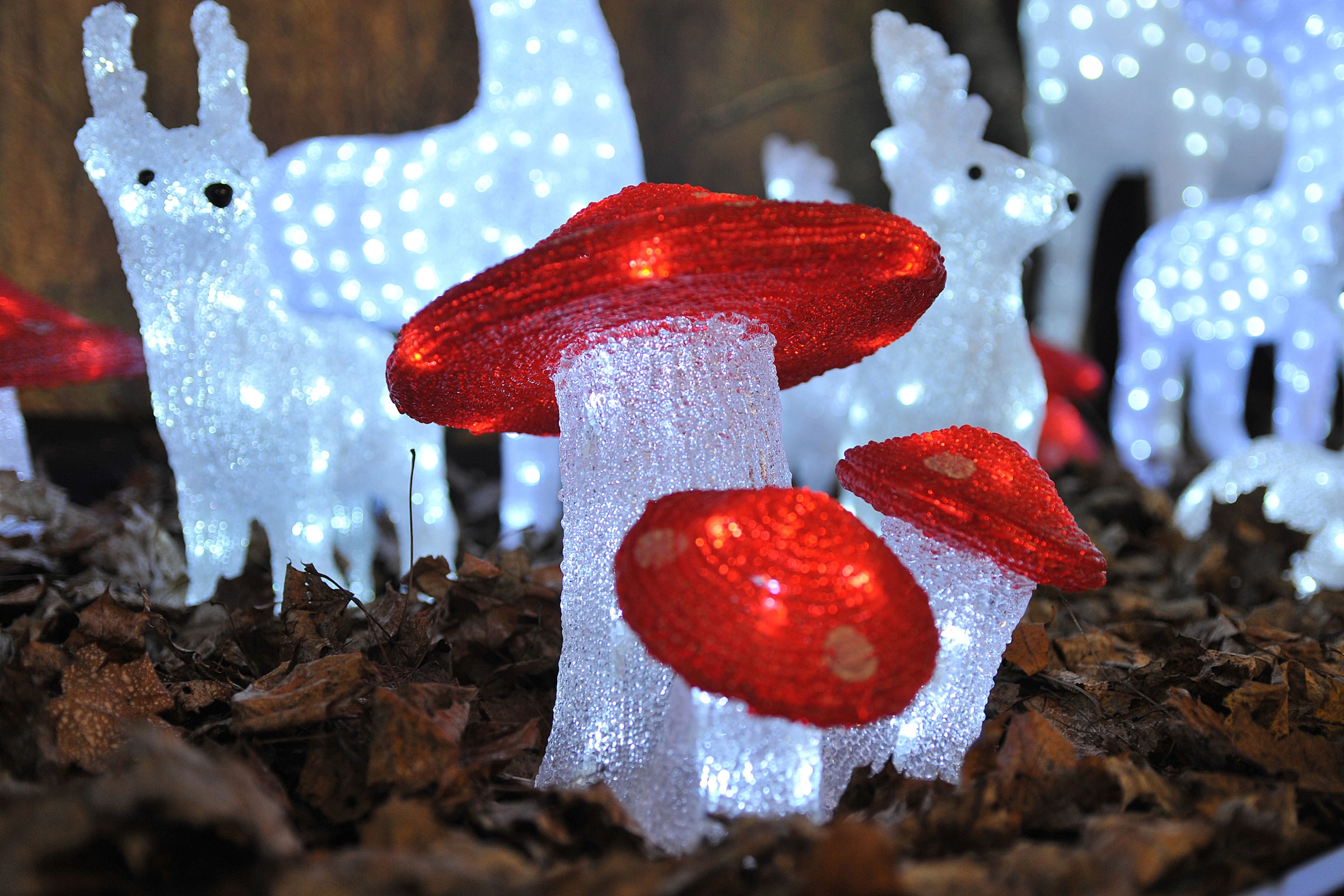 KONSTSMIDE Weihnachtsfigur »Weihnachtsdeko aussen«, LED Acryl Fliegenpilz, 3er-Set, 48 kalt weiße Dioden