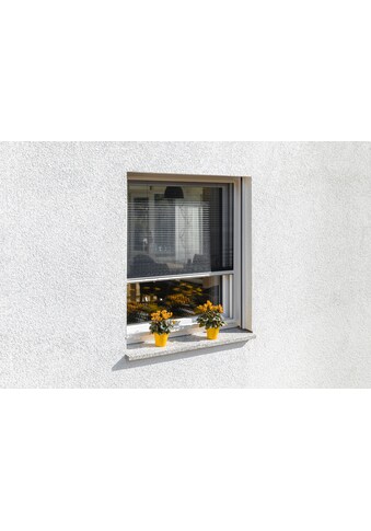 Insektenschutz-Fensterrahmen »für Fenster«, Insektenschutzplissee, 140 x 150 cm, weiß,...