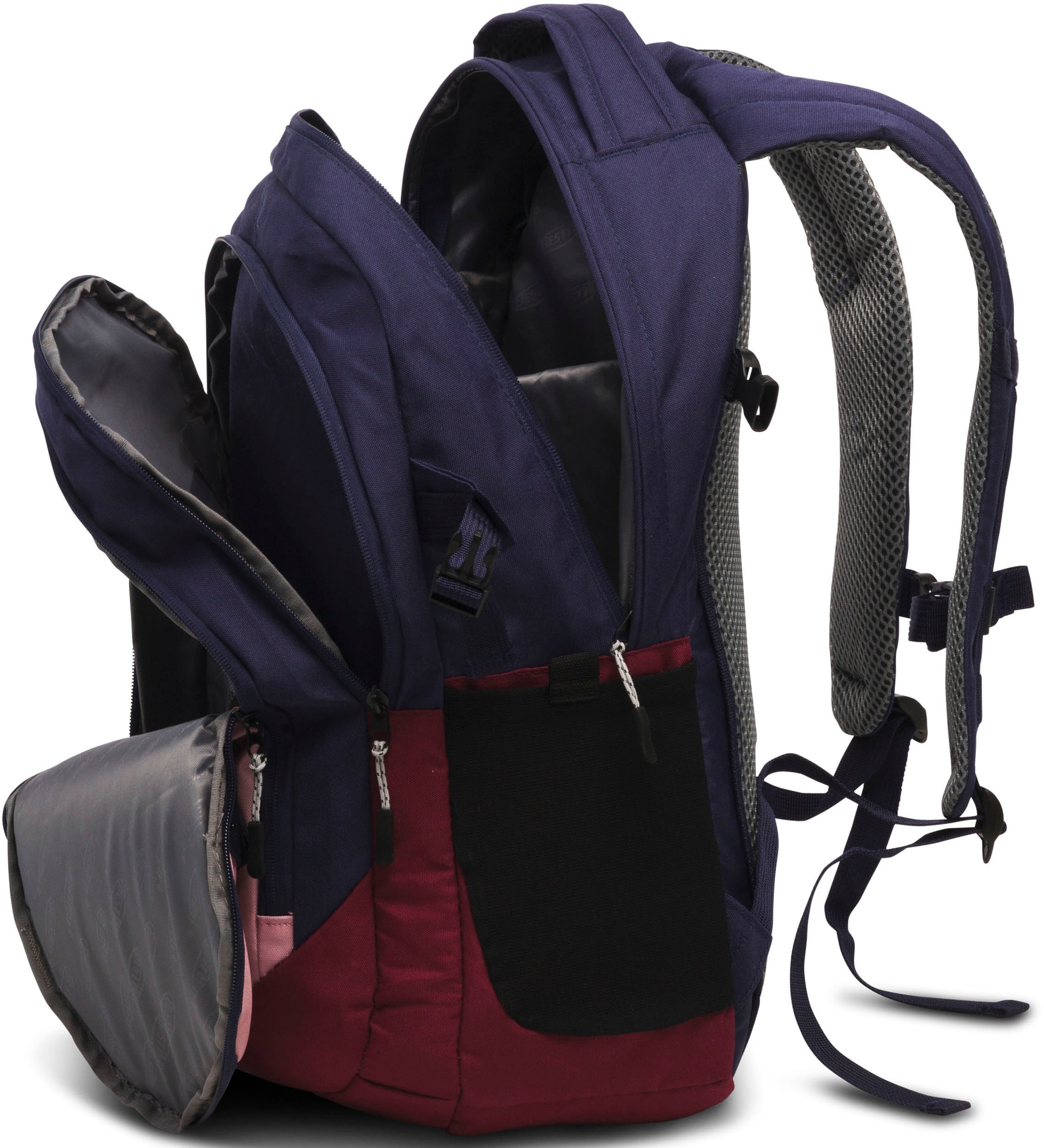 15 Zoll Laptopfach mit kaufen »Evolution BAUR Schulrucksack BESTWAY Air, blau/rosa«, | gepolstertem