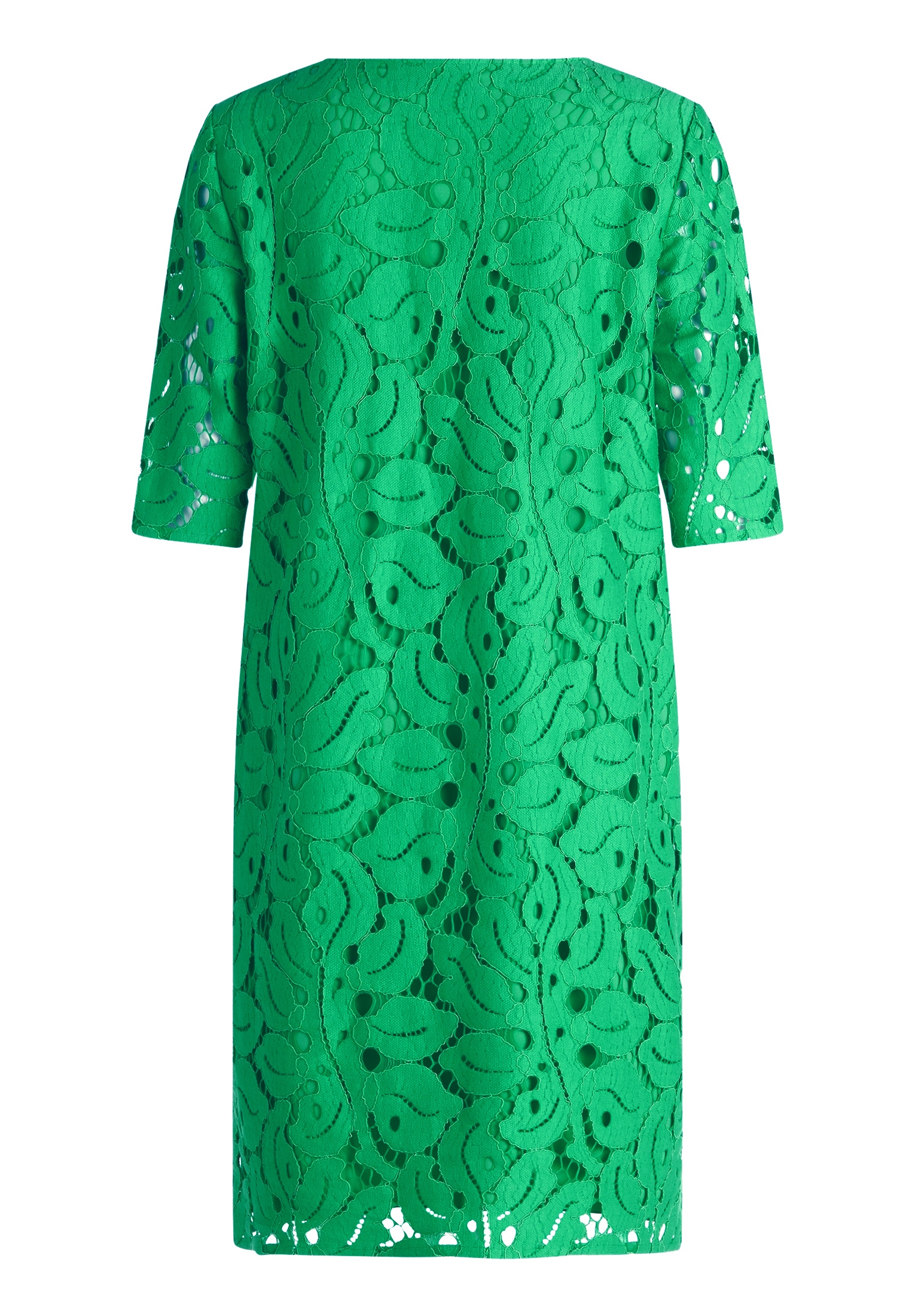 Betty Barclay Spitzenkleid »Damen mit V-Ausschnitt« Ohne Tasche