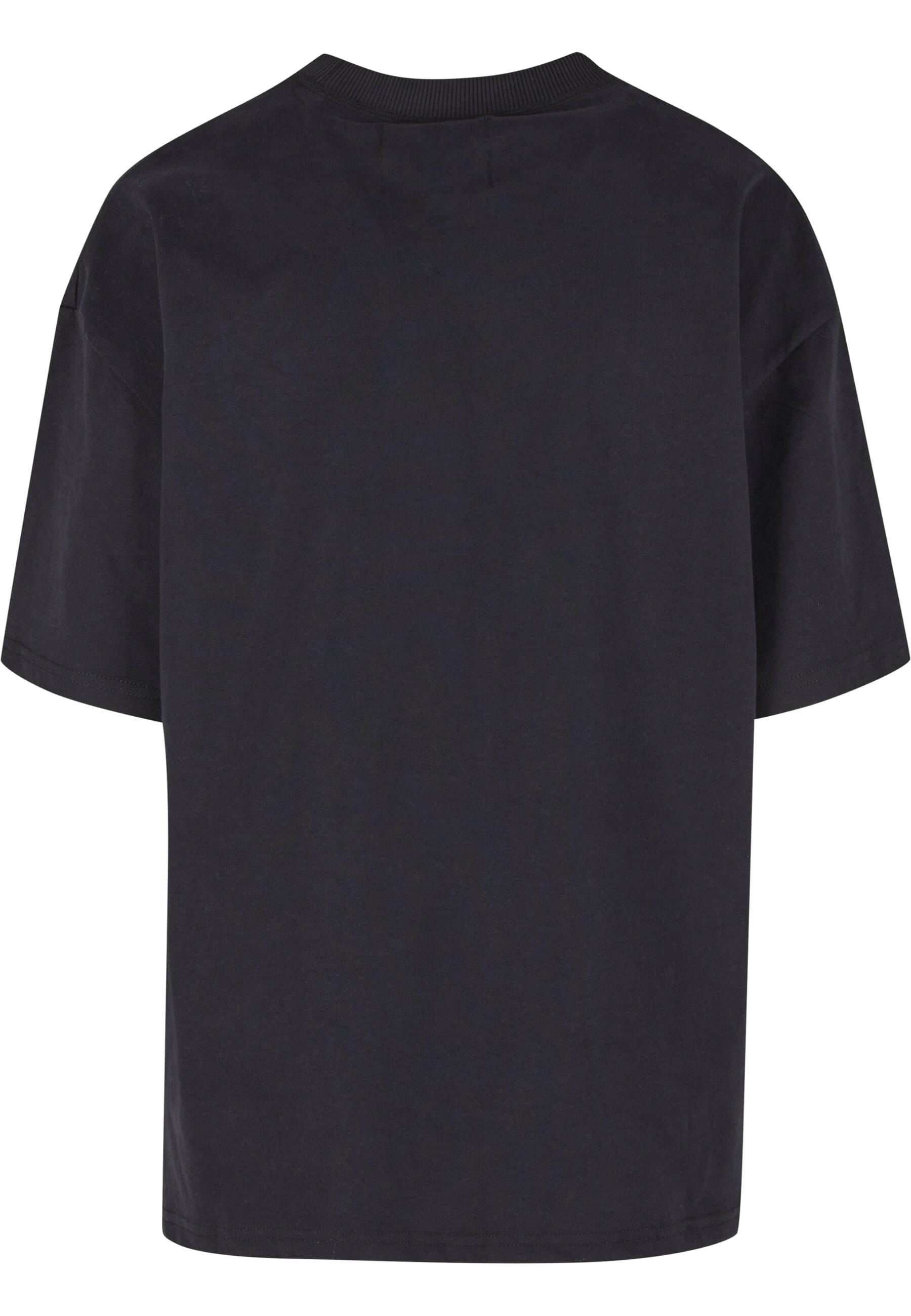 PEQUS T-Shirt "PEQUS PEQUS Ancient Painting T-Shirt" 1 Stk. günstig online kaufen