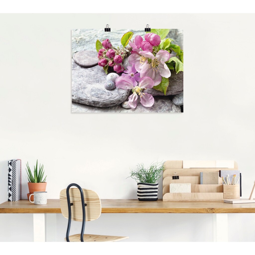 Artland Wandbild »Apfelblüten«, Blumen, (1 St.), als Leinwandbild, Poster, Wandaufkleber in verschied. Größen