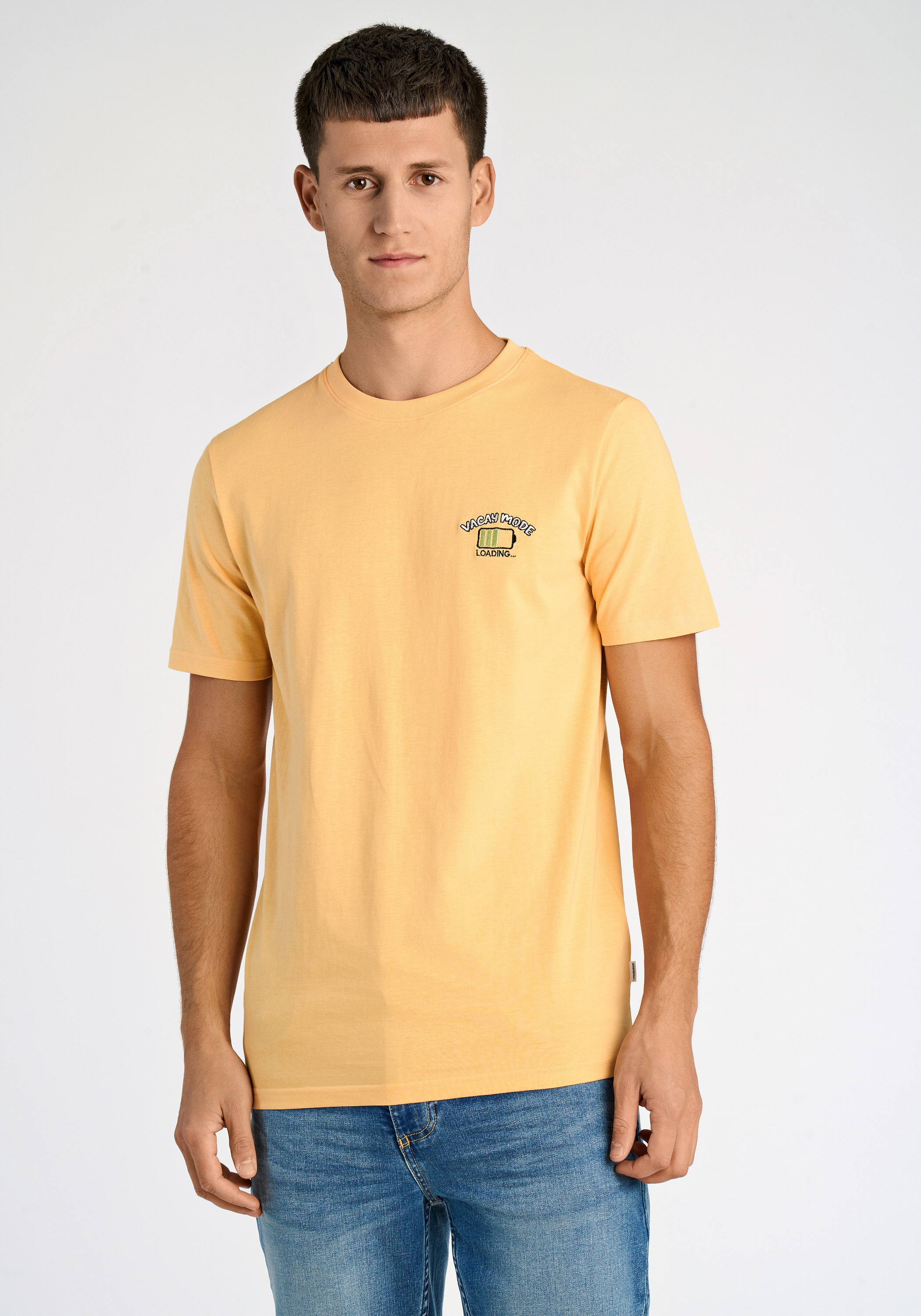 LINDBERGH T-Shirt "Lindbergh T-shirt" günstig online kaufen