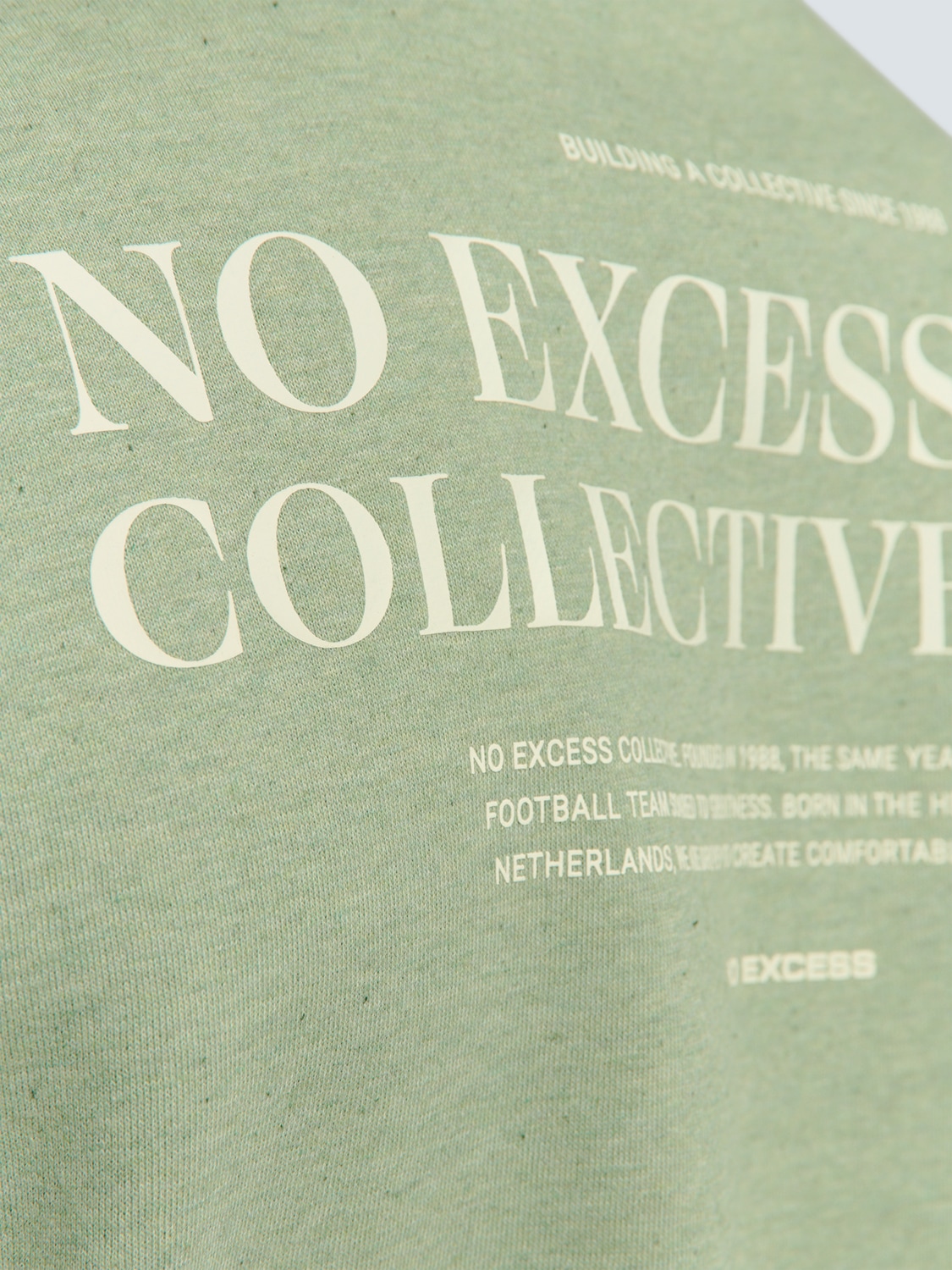 NO EXCESS Sweater »No Excess Pullover mit Rückenaufdruck«