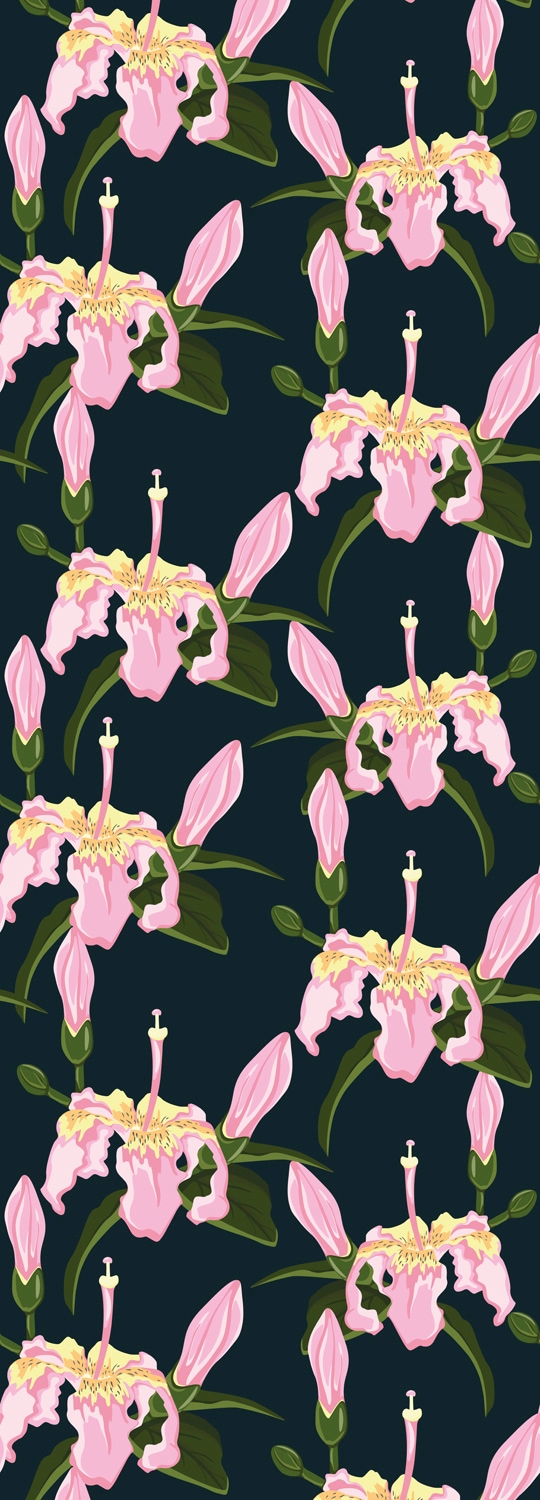 queence Vinyltapete "Evelyn" Motiv bedruckt botanisch floral gemustert natürlich glatt 90x250cm, selbstklebend, kinderleichte Anbringung, Sticker