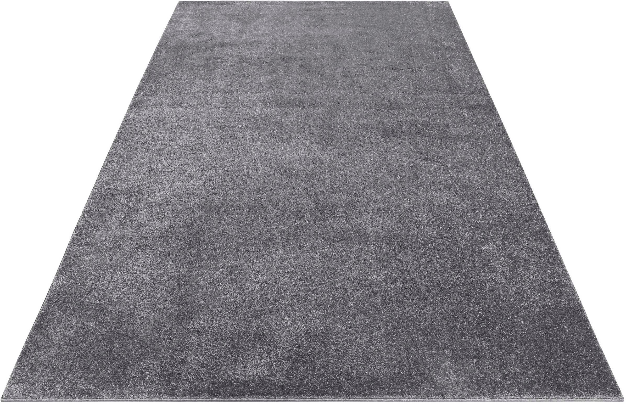 Esprit Teppich "Campus ESP-0035" rechteckig 17 mm Höhe sehr flauschiger, di günstig online kaufen