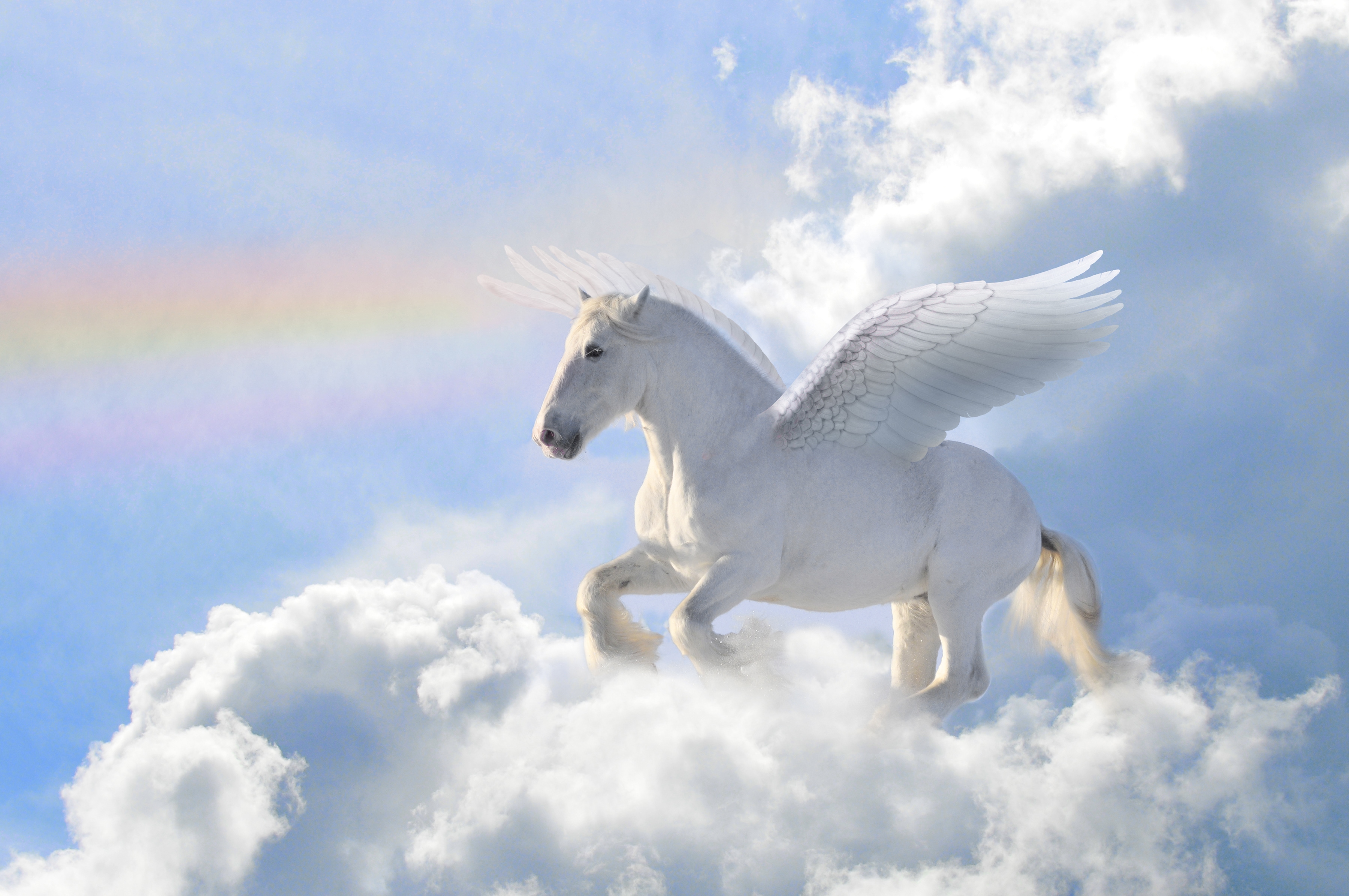 Papermoon Fototapete "Pegasus in the Clouds" glatt
