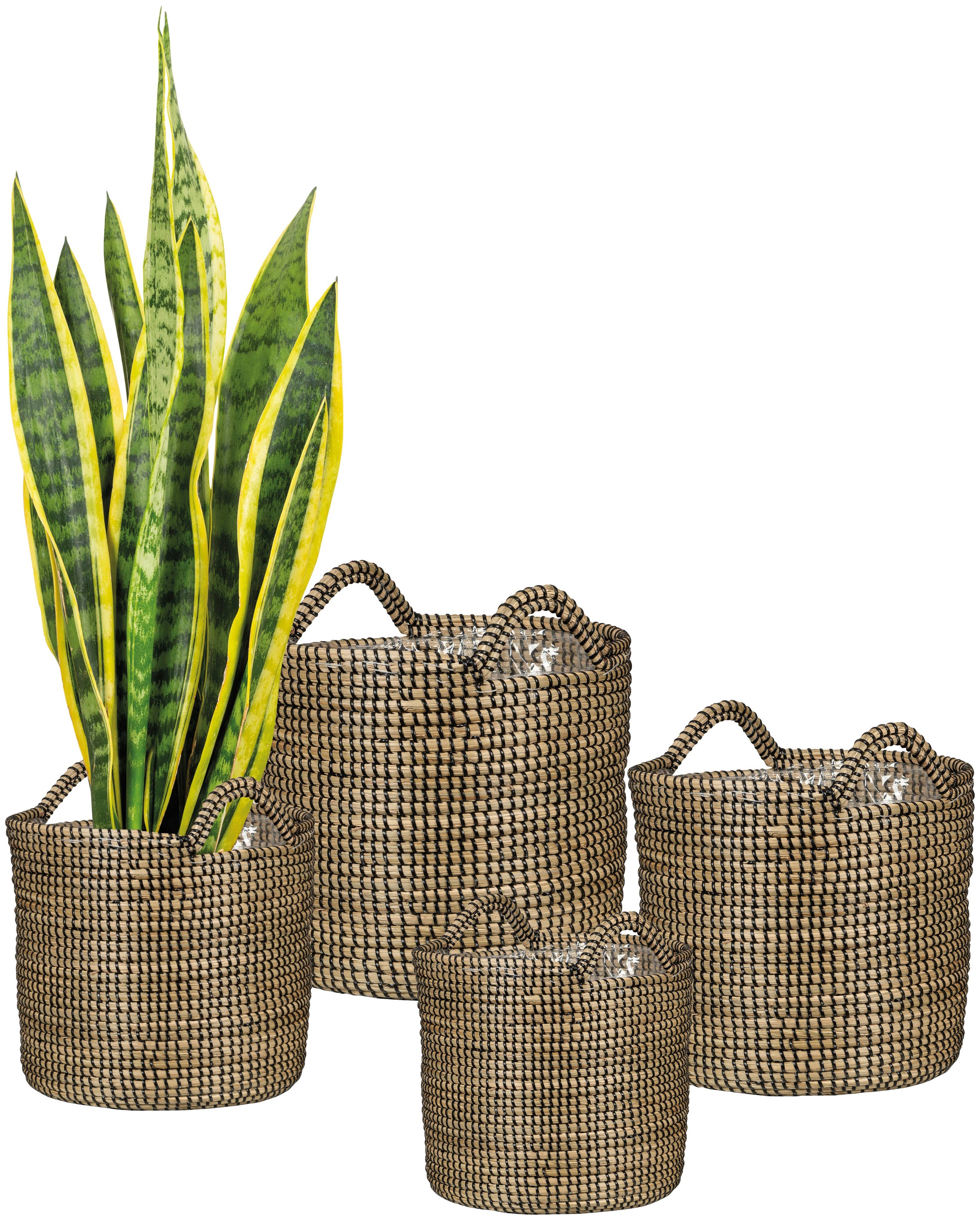 Scheurich Blumentopf »black 22/514«