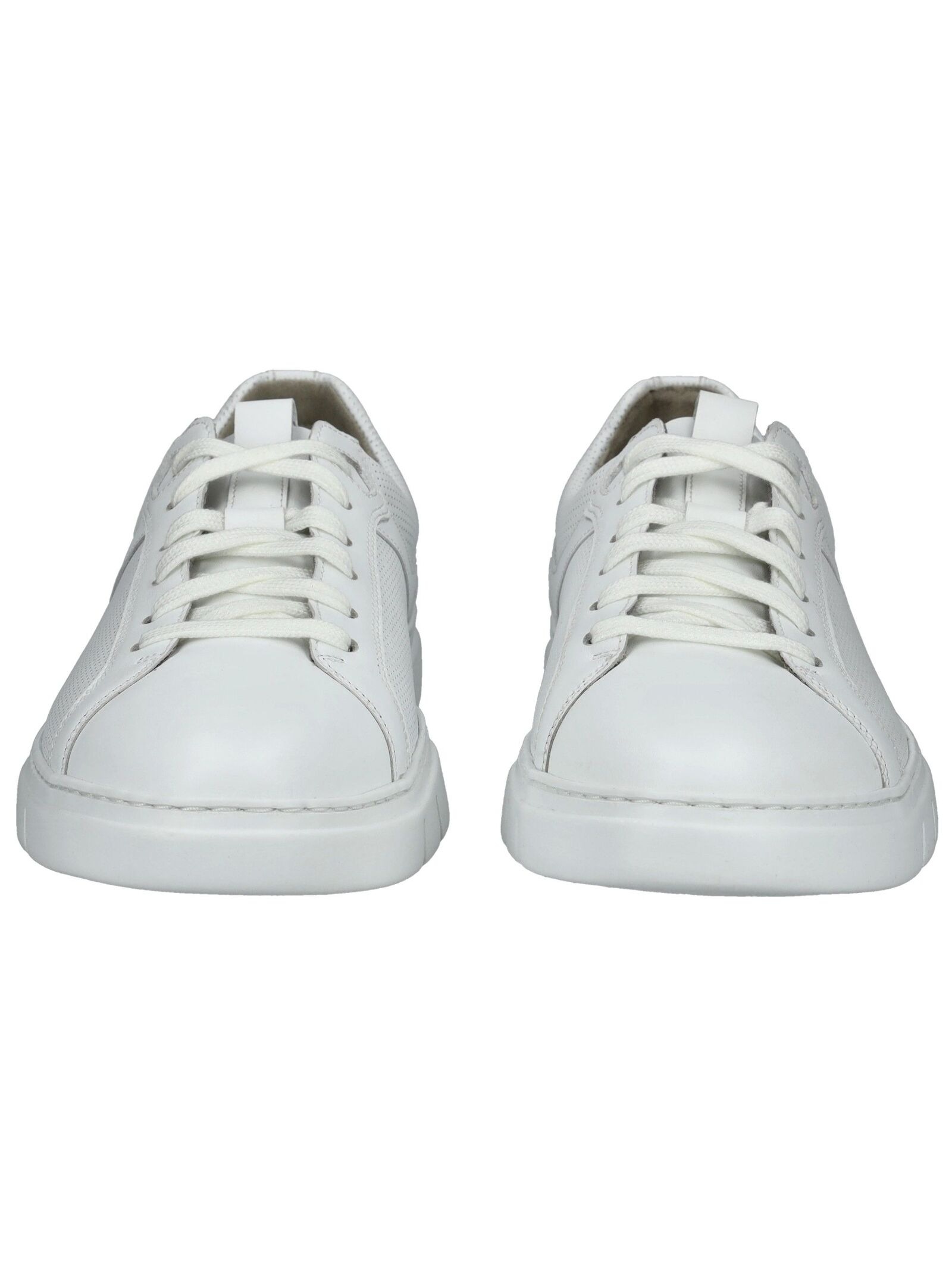 Pius Gabor Sneaker »Pius Gabor Sneaker Leder«