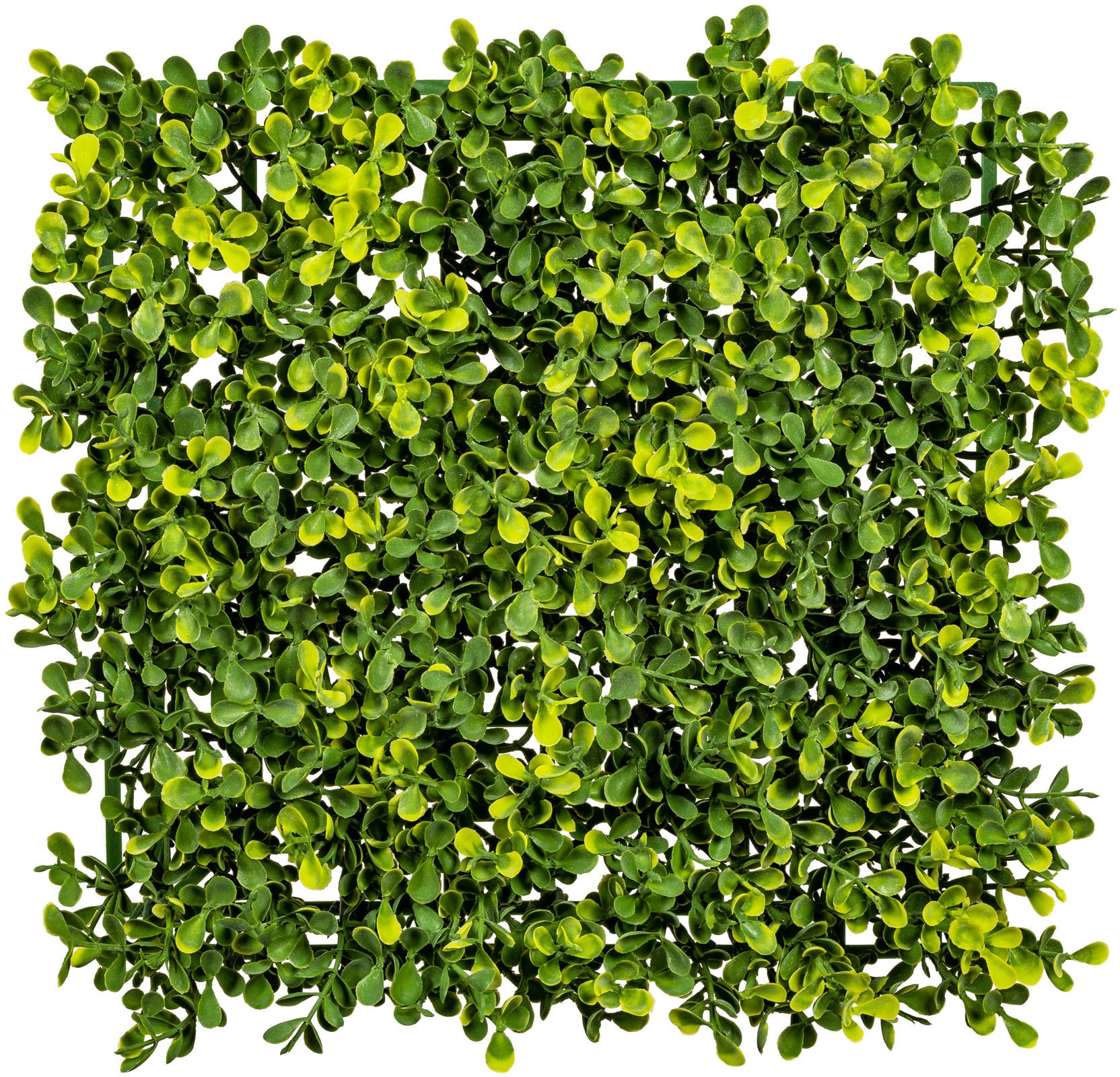 Creativ green Kunstpflanze »Buchsbaummatte«, 3er Set