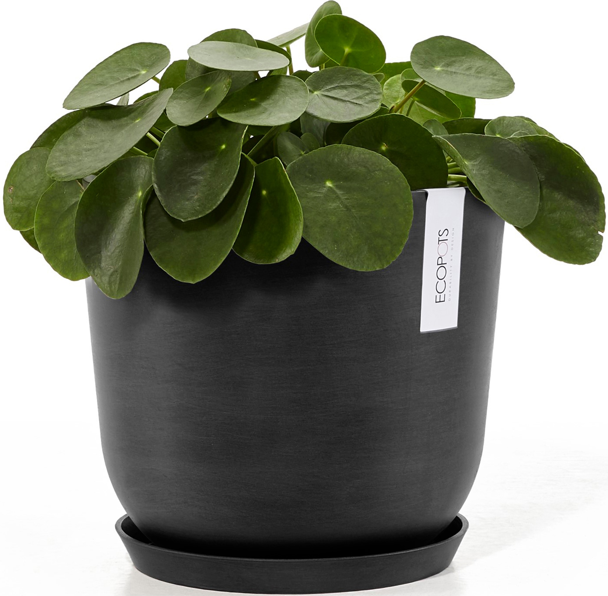 ECOPOTS Blumentopf »Oslo 25 + Wassersystem Dunkelgrau«, für innen und außen: frostsicher, bruchsicher und lichtbeständig