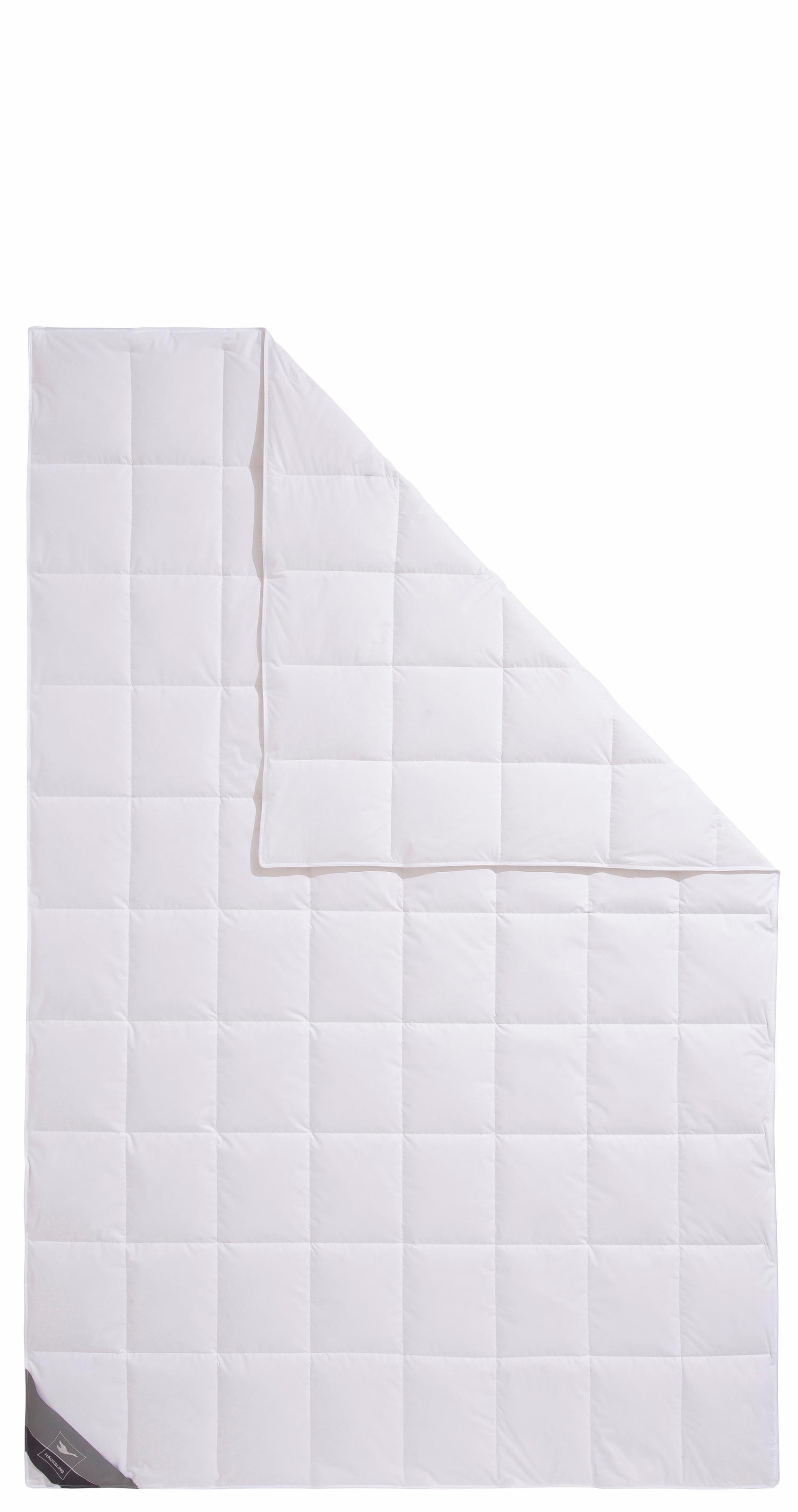 Haeussling Daunenbettdecke "Königstraum - First Class" leicht Füllung 90Dau günstig online kaufen