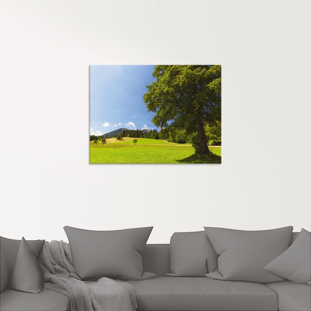 Artland Glasbild »Bayrische Landschaft«, Wiesen & Bäume, (1 St.)