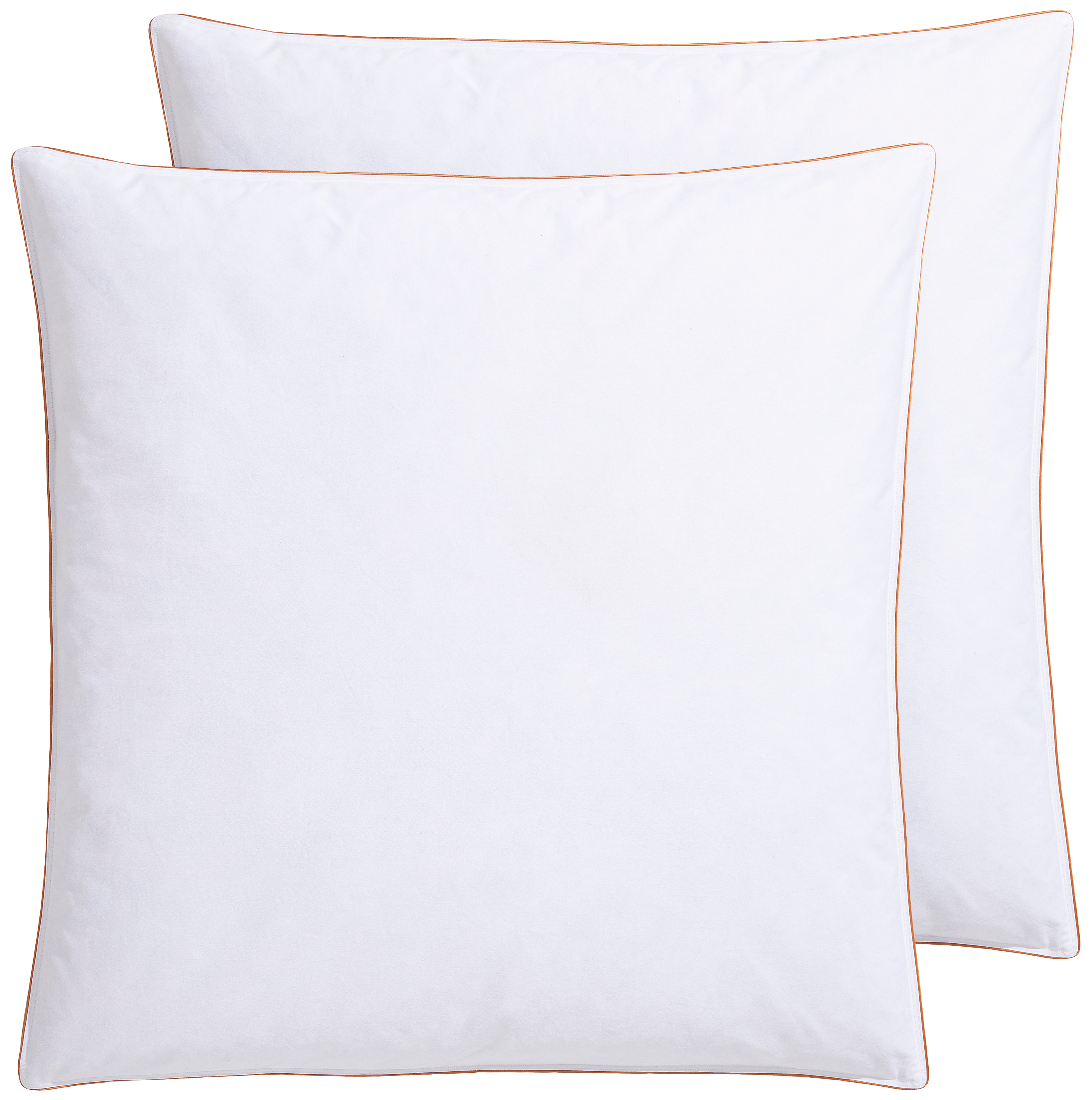 RIBECO Federkissen "Kopfkissen Richard, Kissen mit Daunenanteil, in 40x80 oder 80x80 cm" Füllung: 90% Federn & 10 % Daunen 2 Stk. tlg. Seit 105 Jahren überzeugt RIBECO durch Qualität