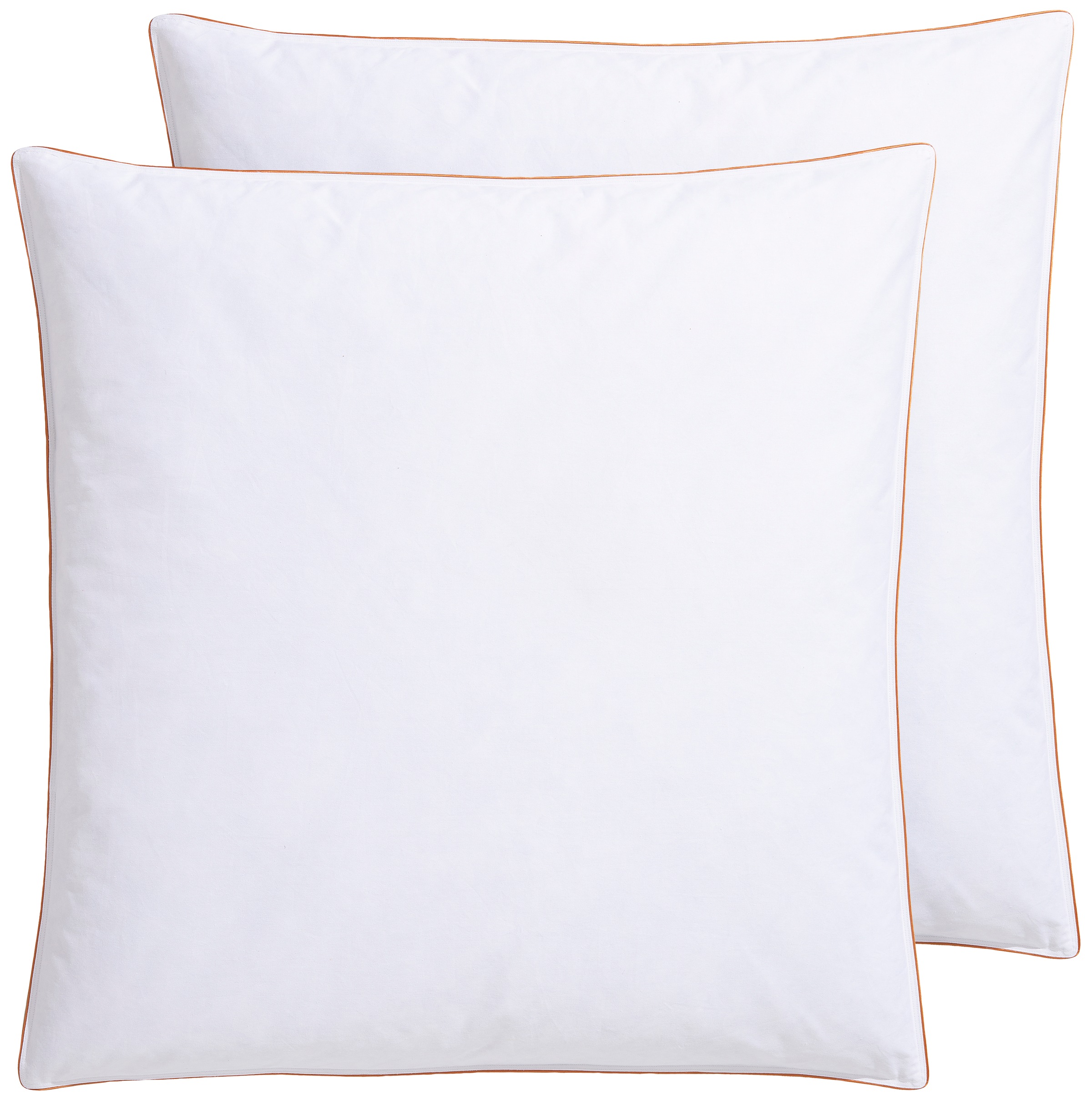 RIBECO Federkissen "Kopfkissen Richard, Kissen mit Daunenanteil, in 40x80 o günstig online kaufen