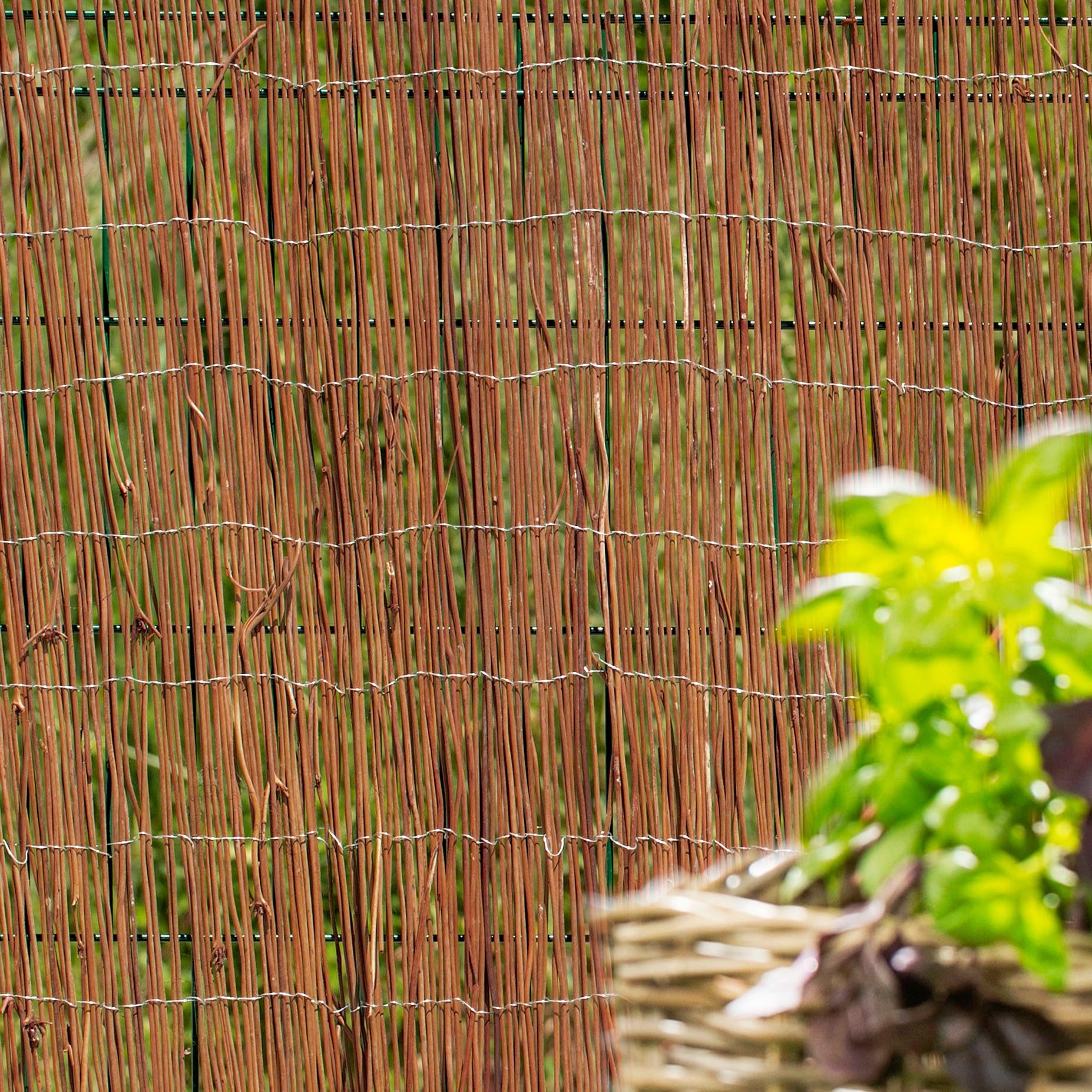 Windhager Sichtschutzzaunmatten, Sicht- und Windschutzmatte aus naturbelassenem Farn, L: 3 m
