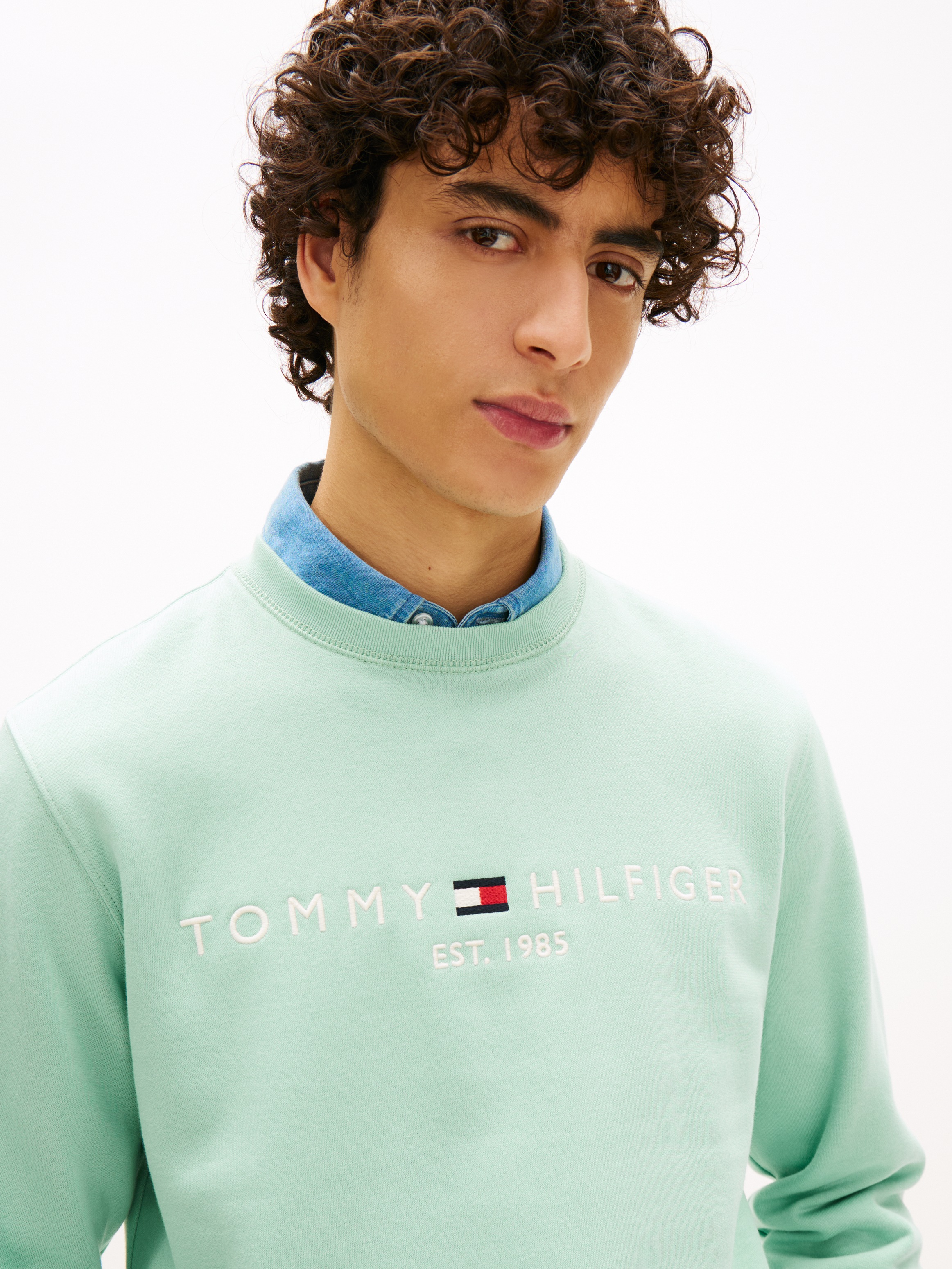 Tommy Hilfiger Sweatshirt "TOMMY LOGO", unifarben, casual, regular fit, Bau günstig online kaufen