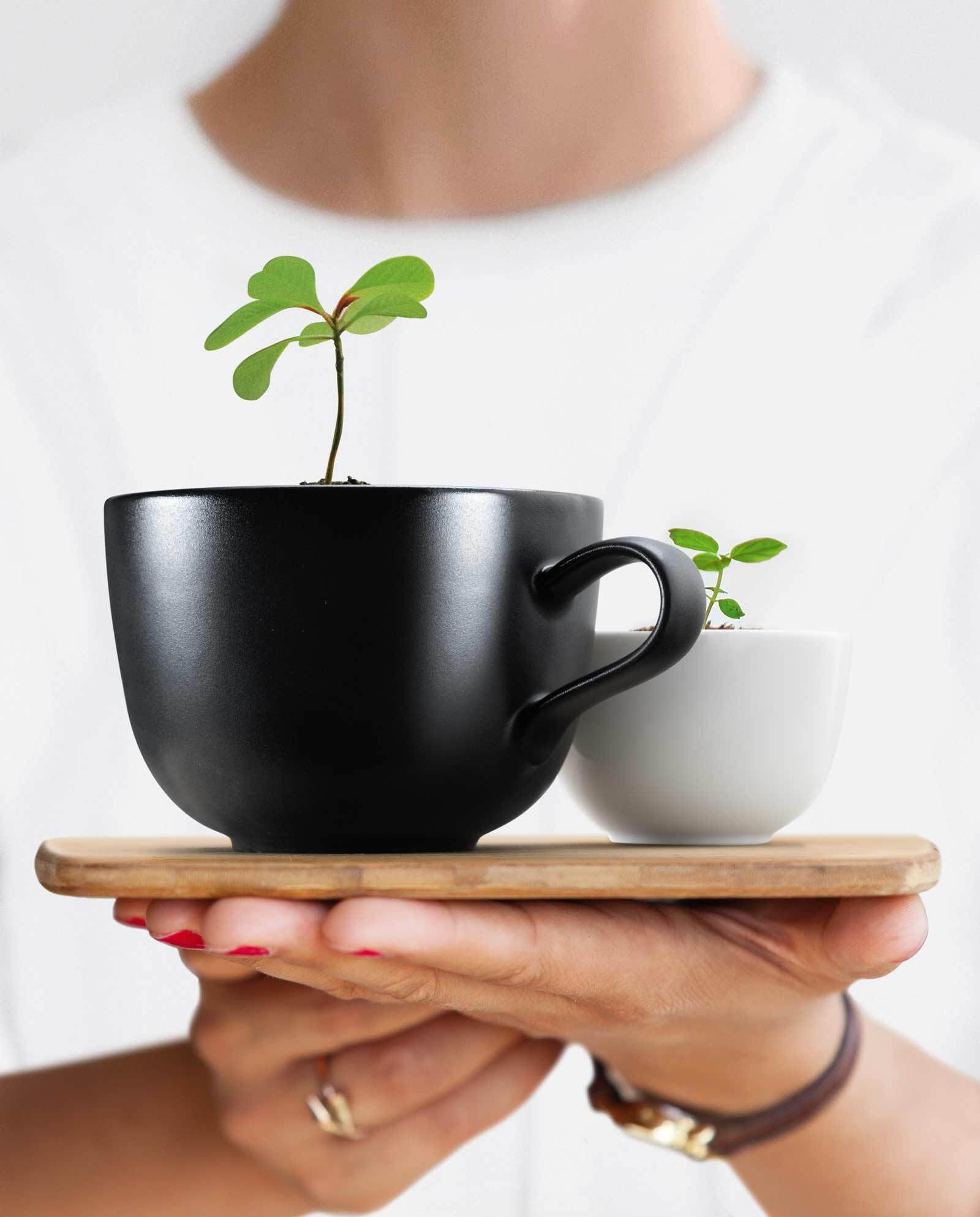 Seltmann Weiden Tasse "Milchkaffeetassen Liberty Velvet Black 400 ml 6er Se günstig online kaufen