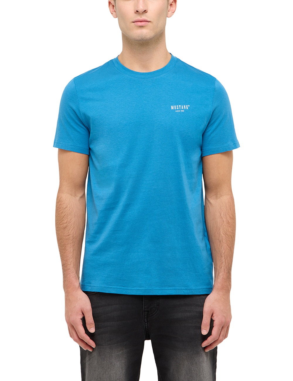 MUSTANG Kurzarmshirt »Herren Style Austin«