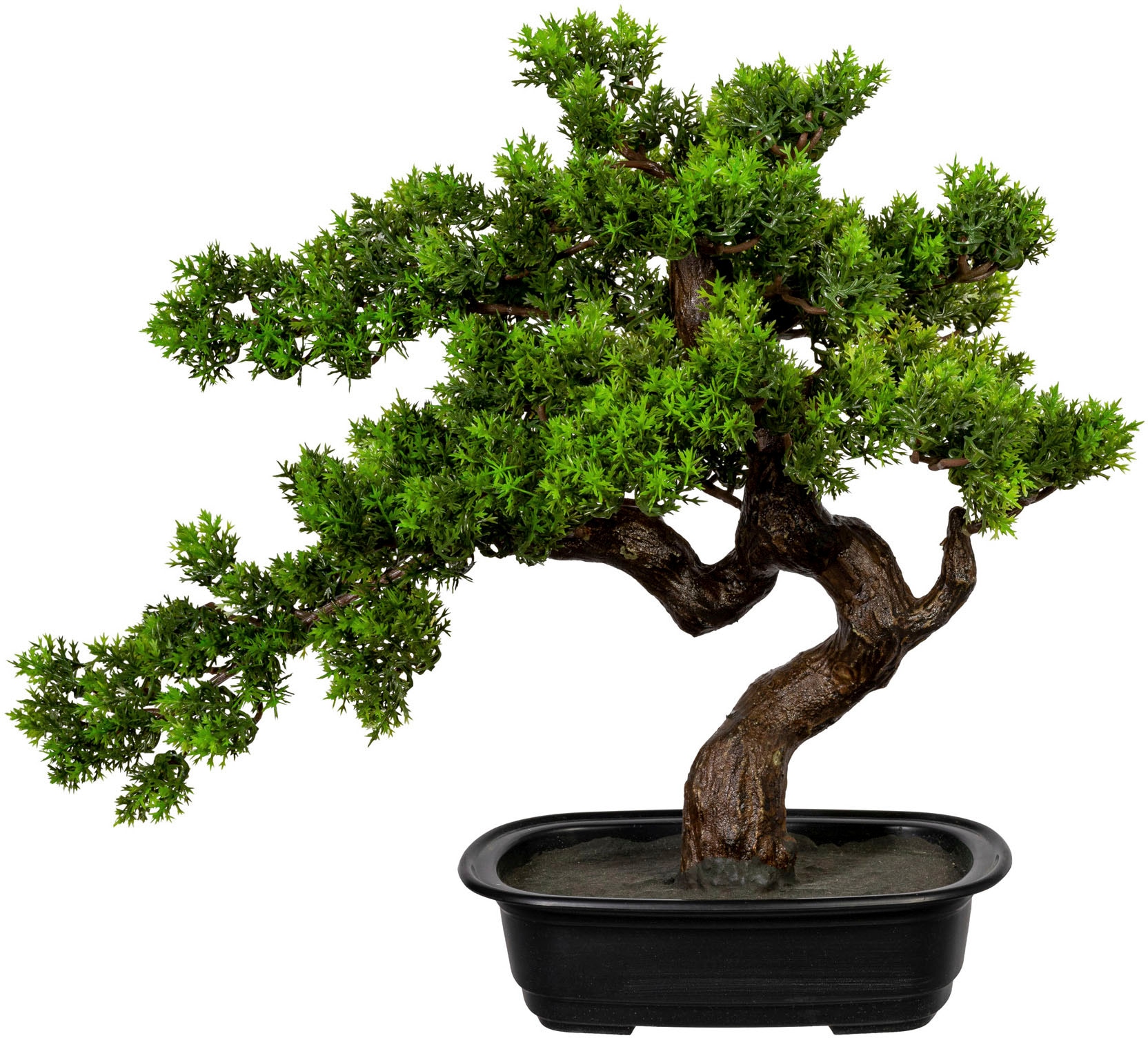 Creativ green Kunstbonsai "Bonsai" günstig online kaufen